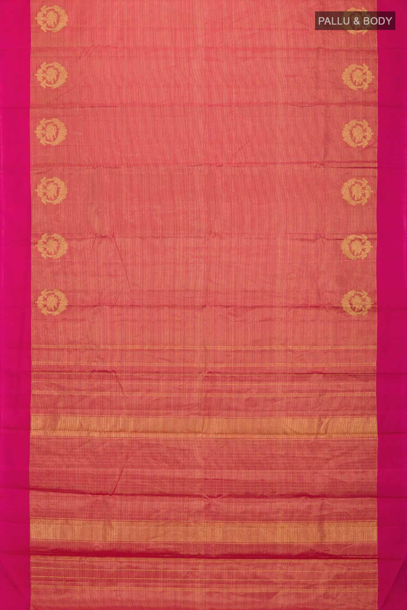 pallu body