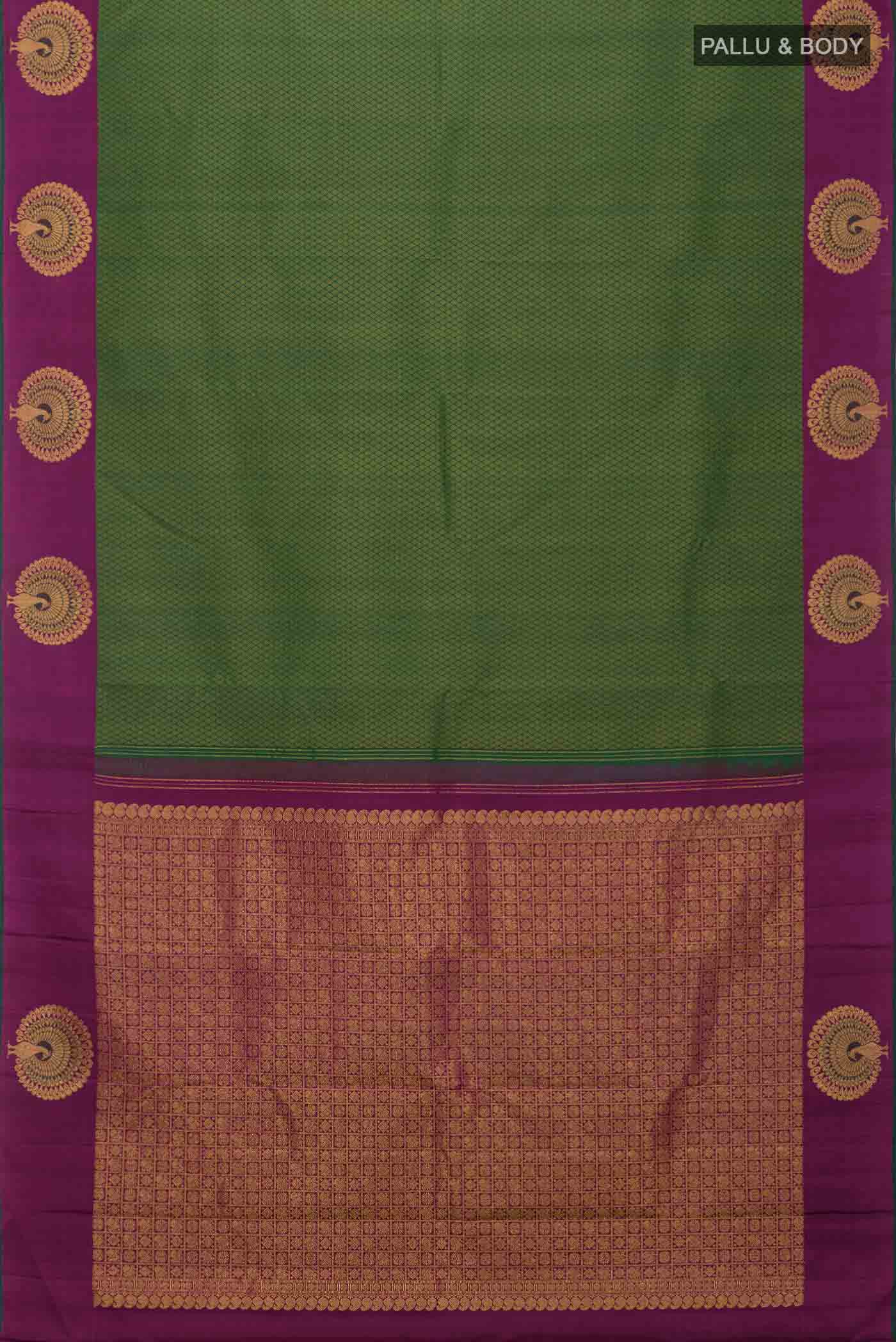 pallu body