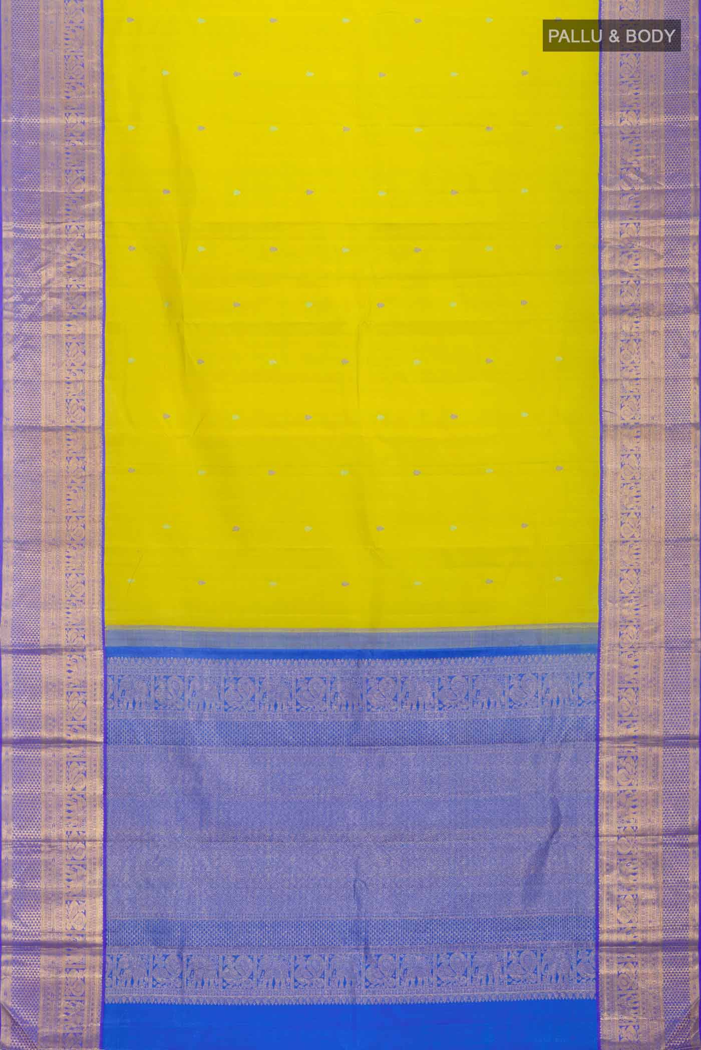 pallu body