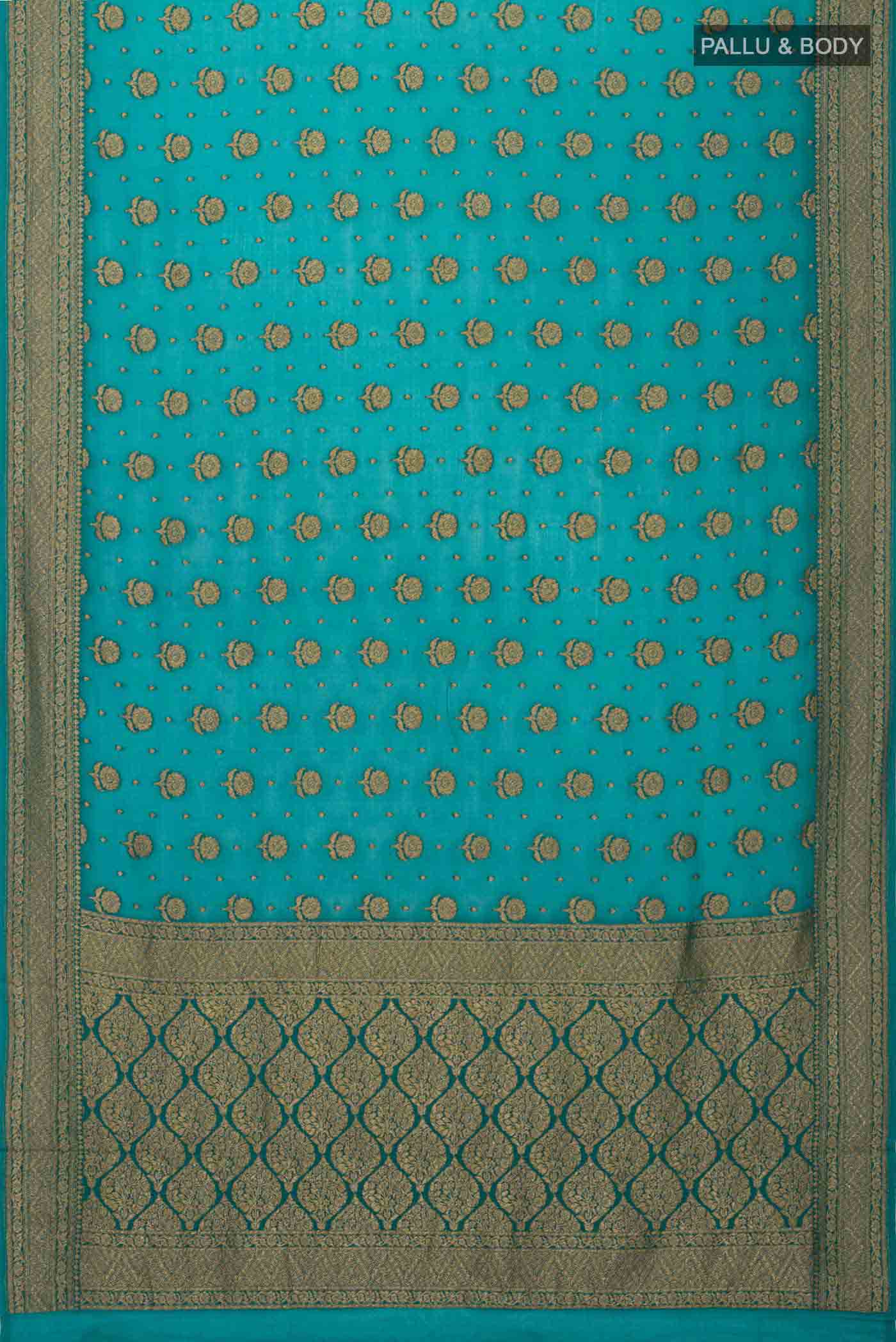 pallu body