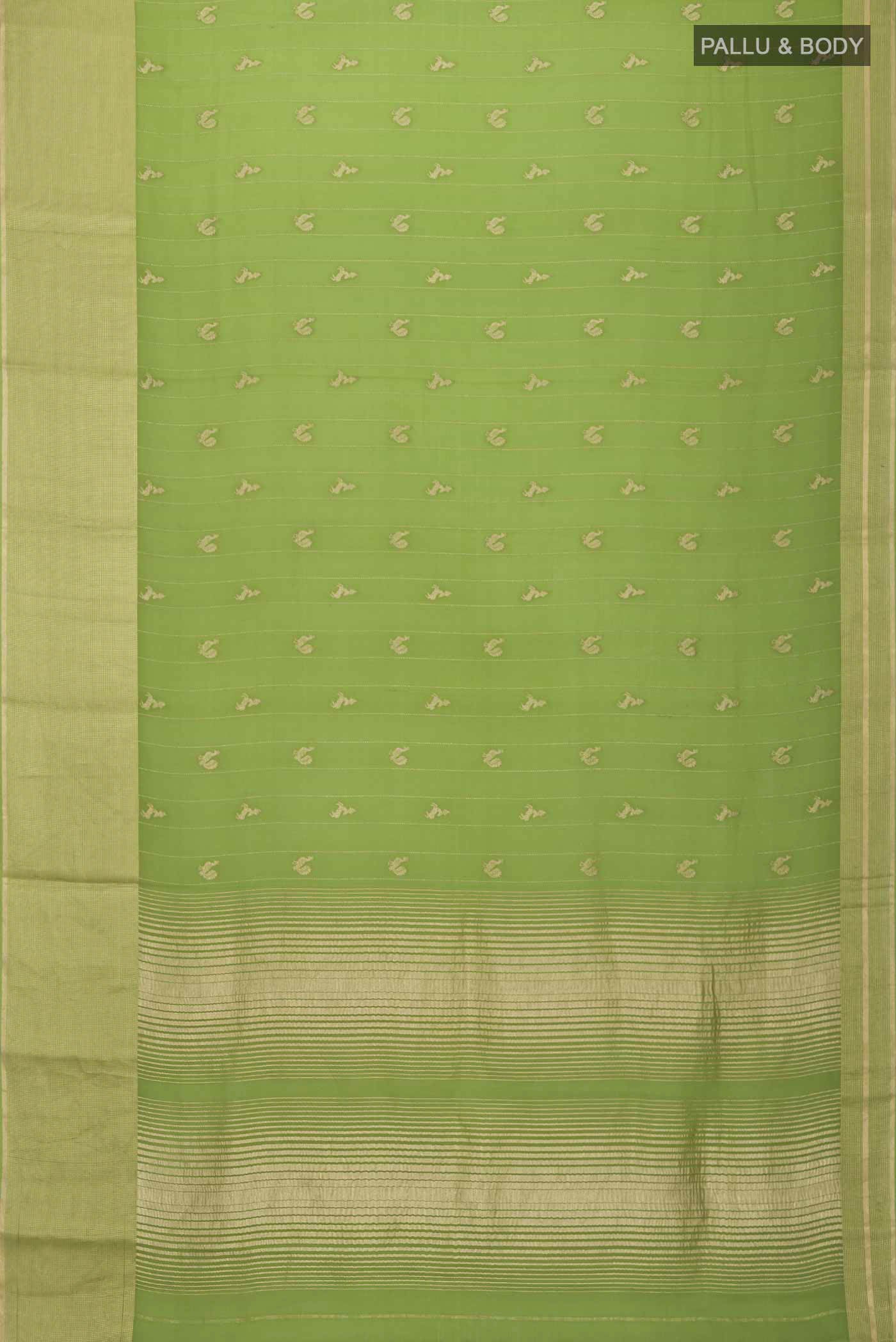 pallu body