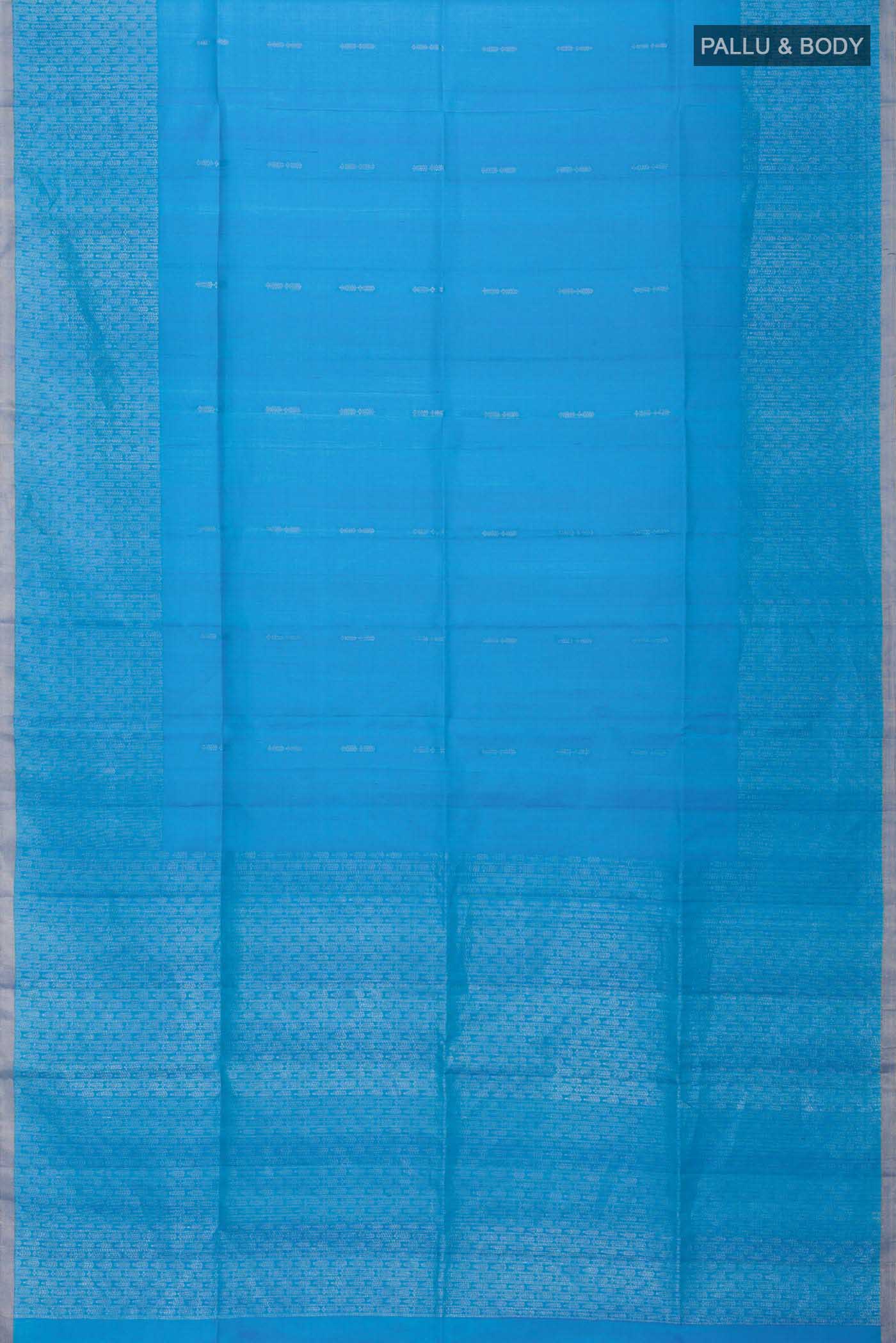 pallu body