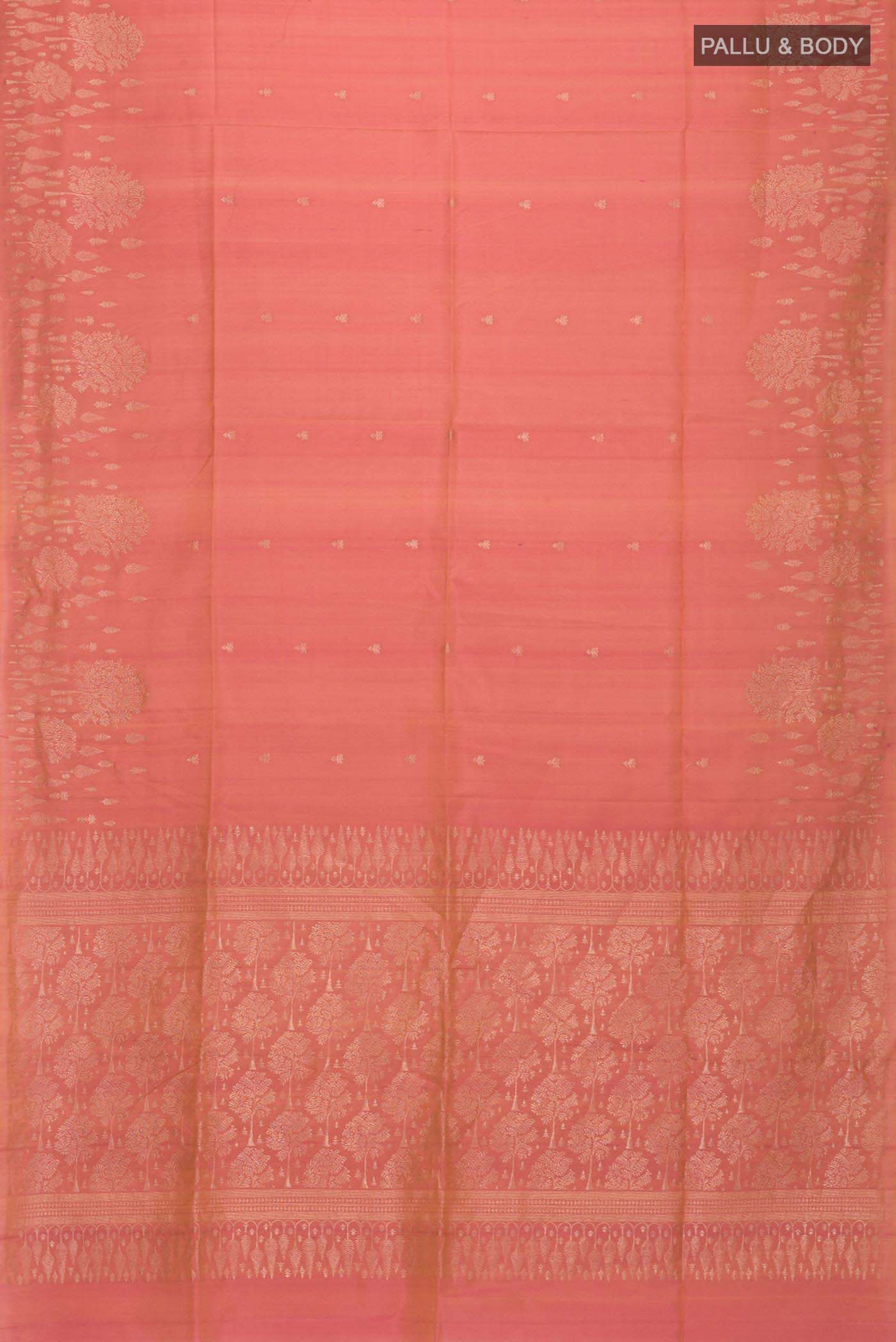 pallu body