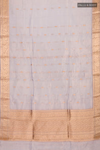 pallu body
