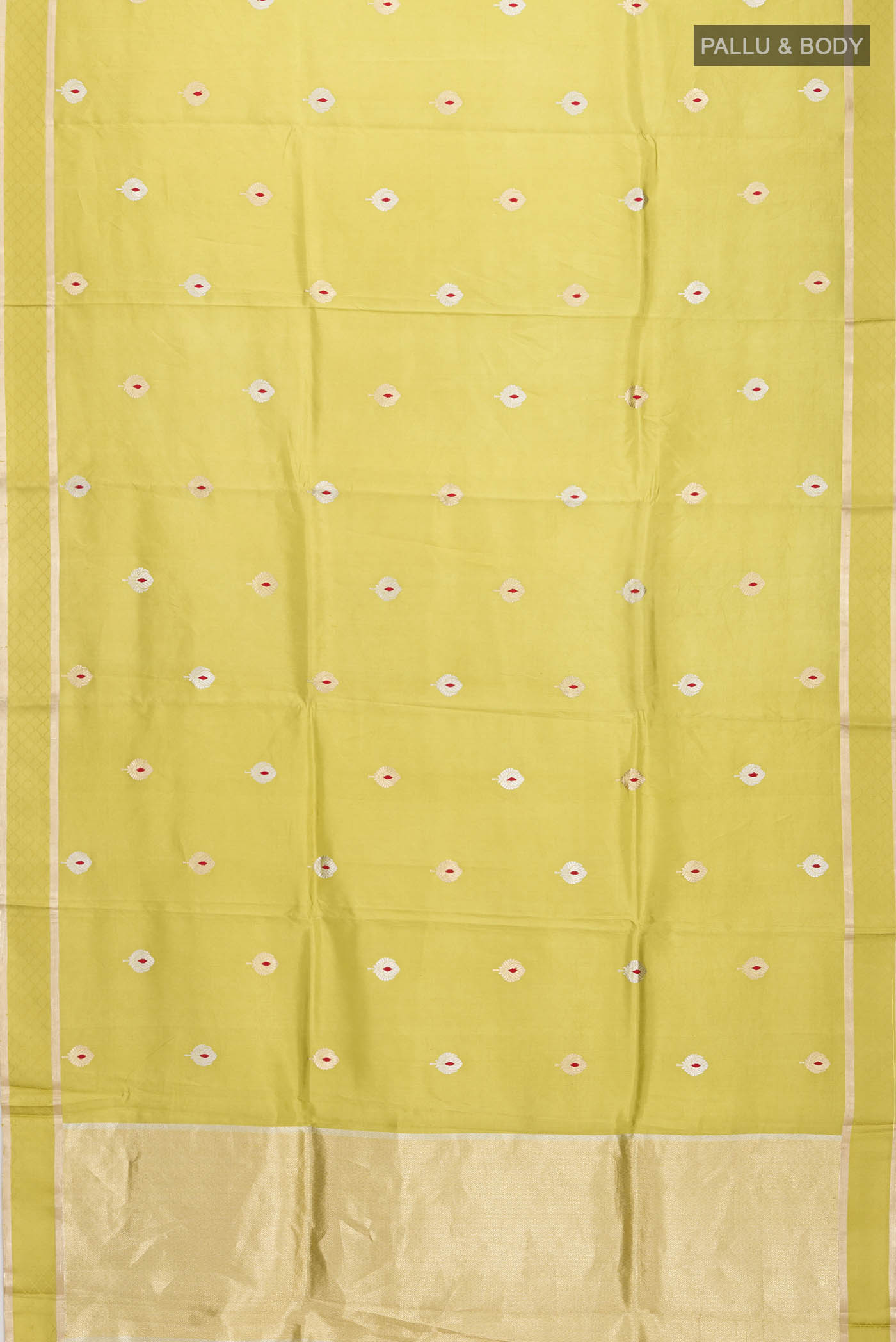 pallu body