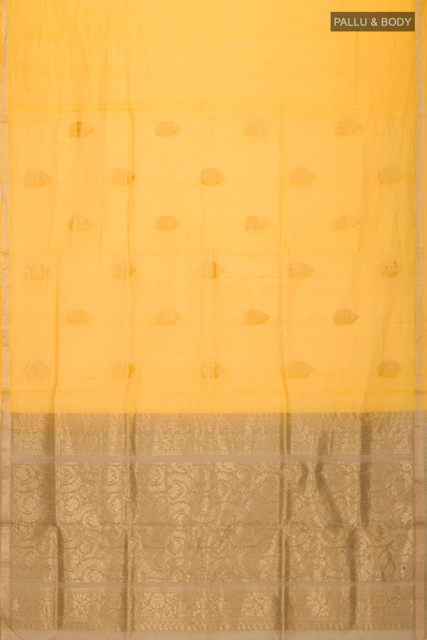 pallu body