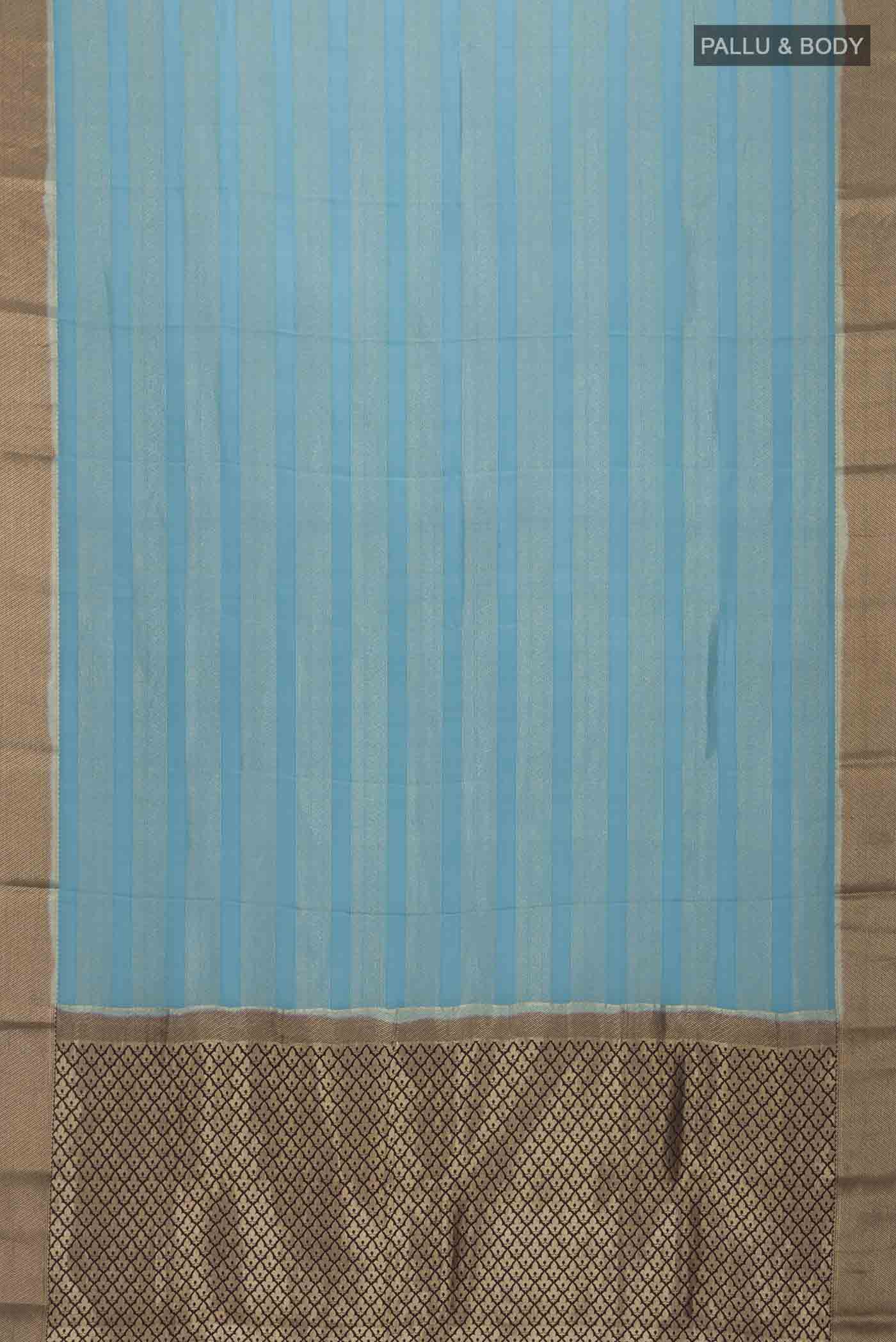 pallu body