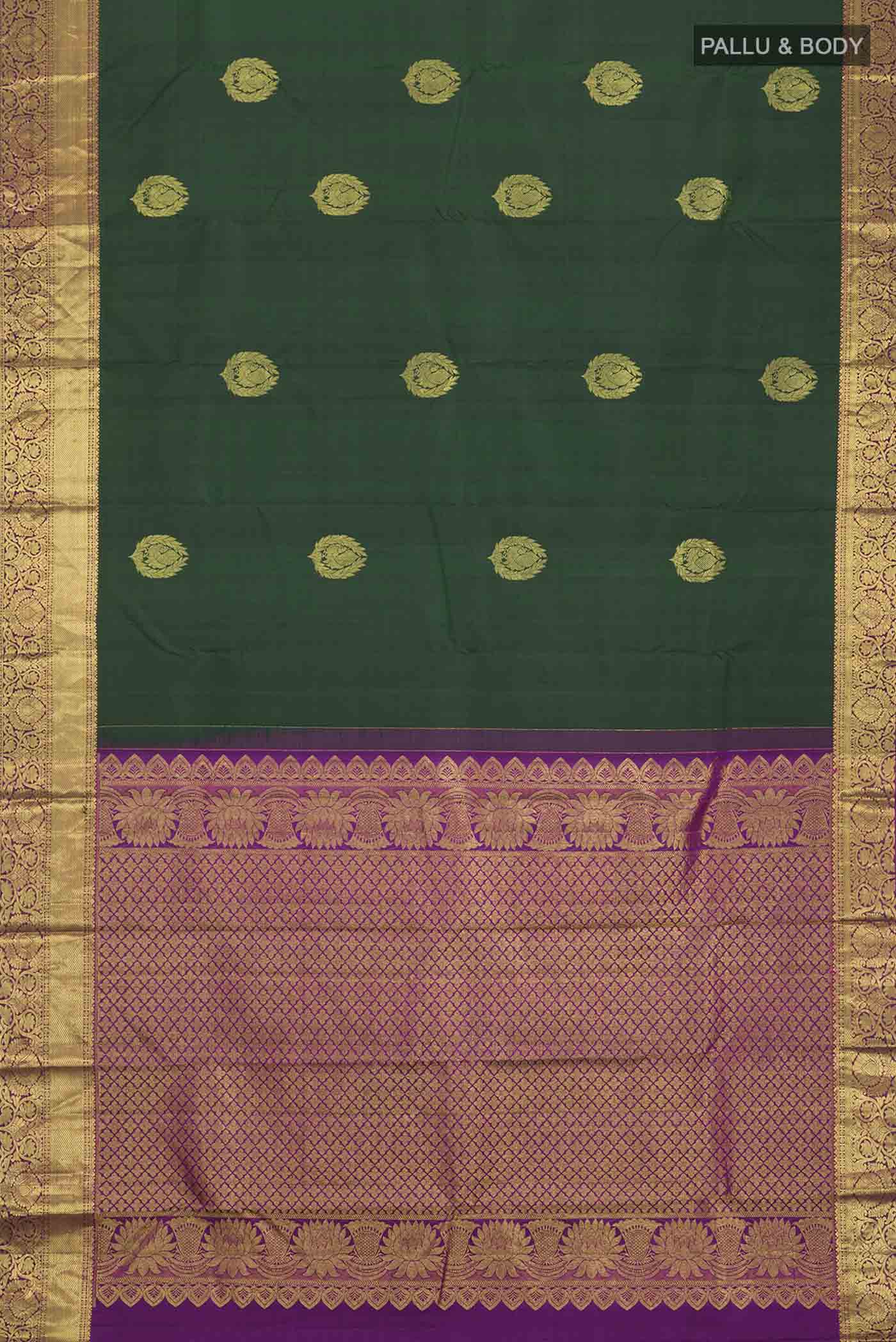 pallu body