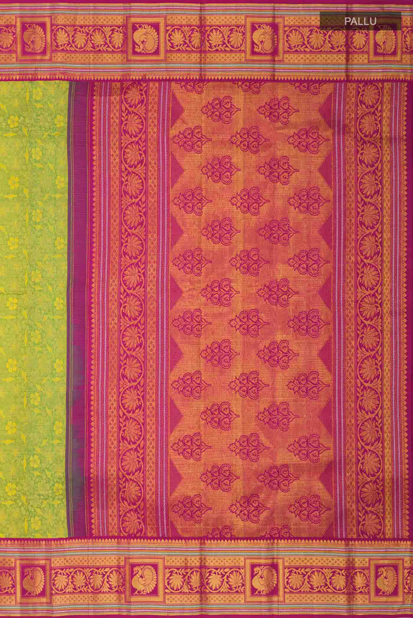 pallu_closeup