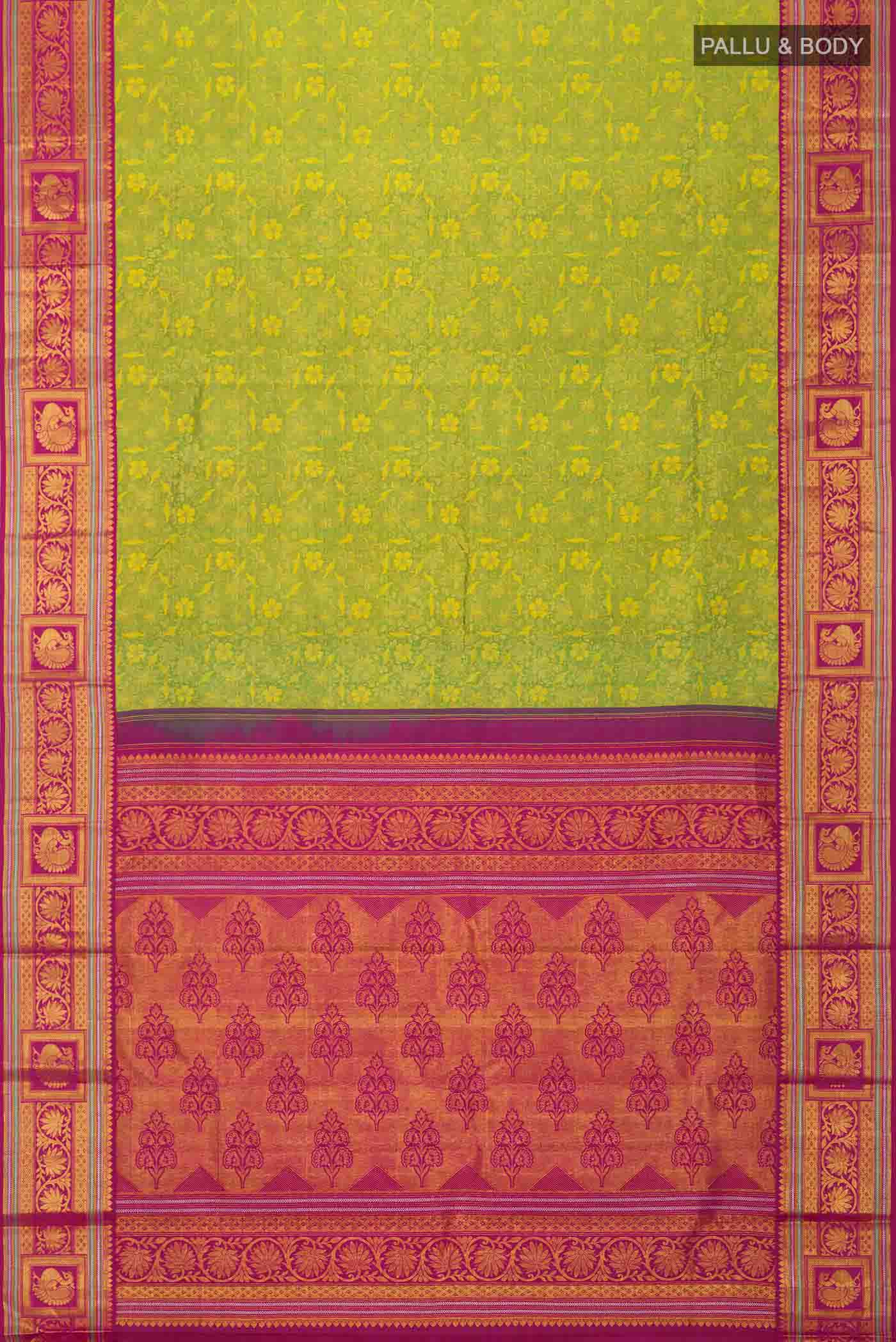 pallu body