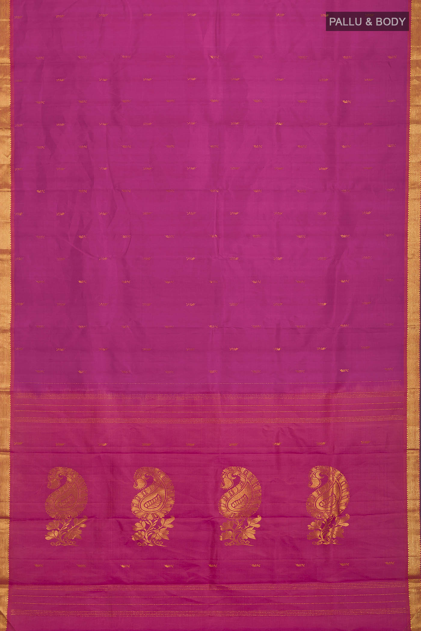 pallu body