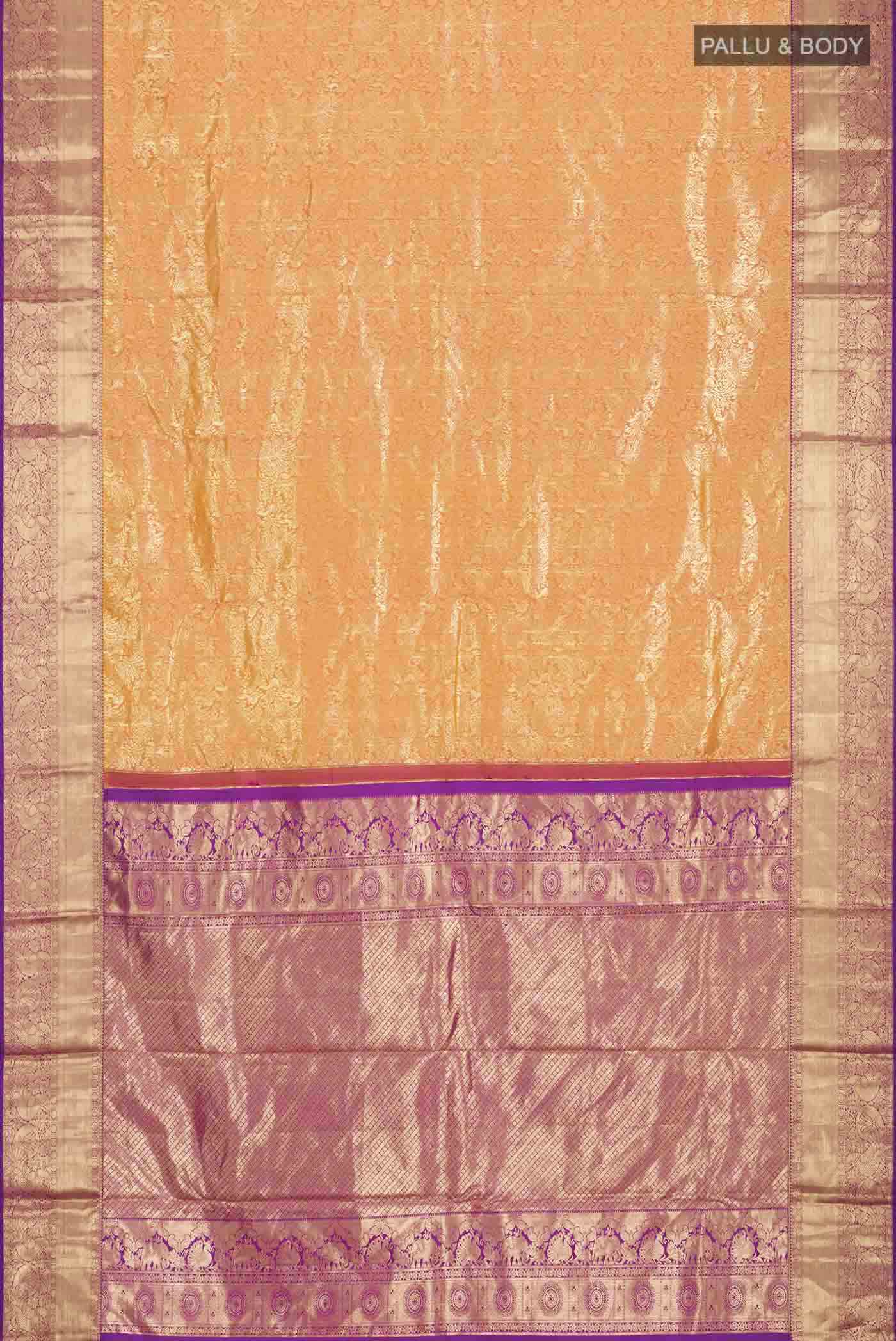 pallu body