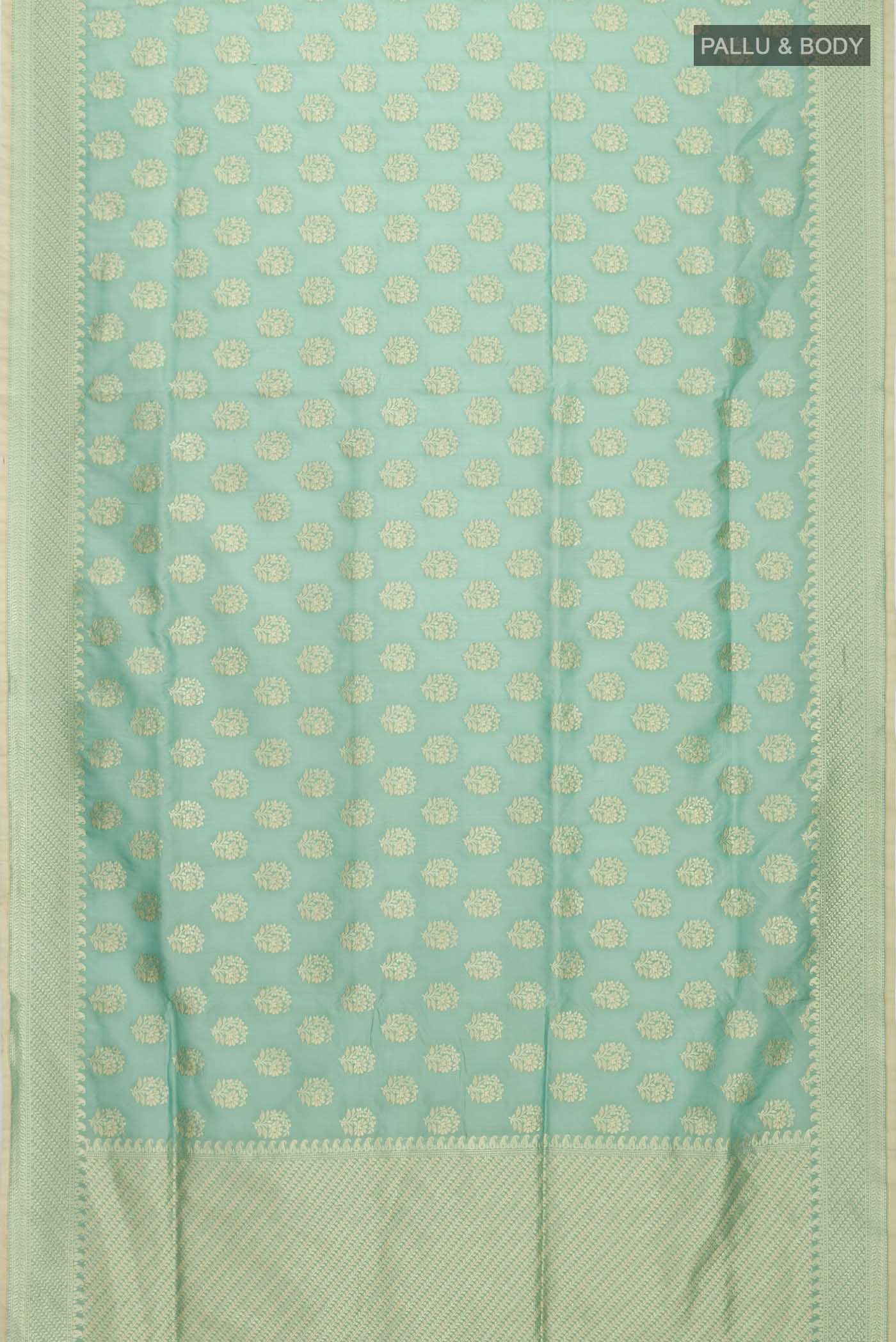 pallu body