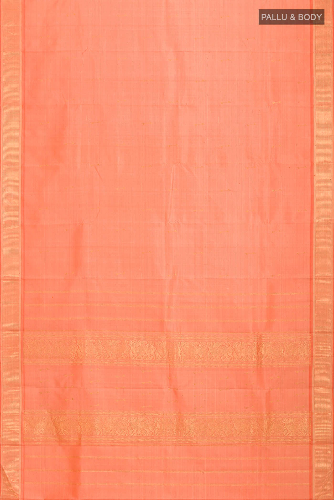 pallu body