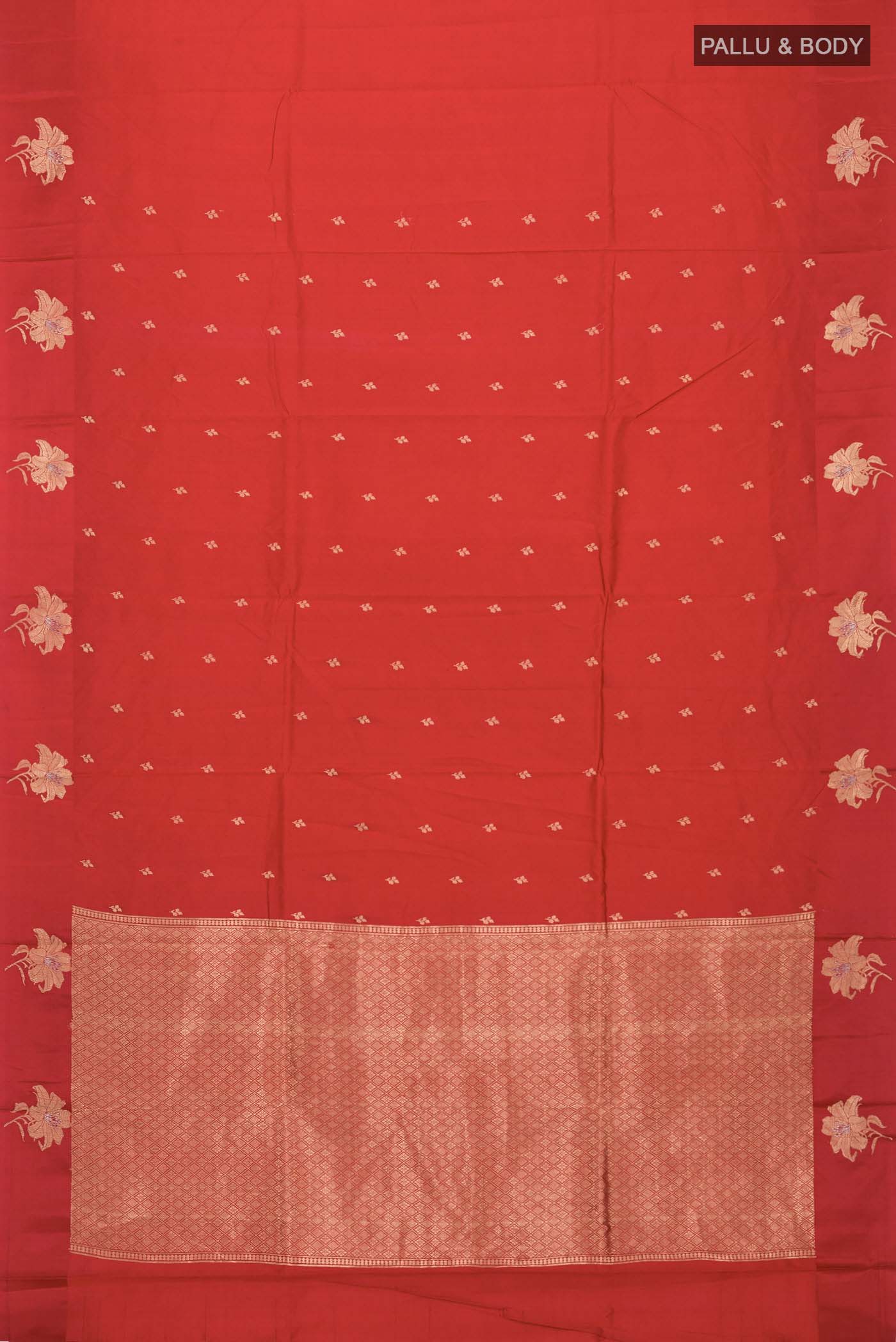 pallu body