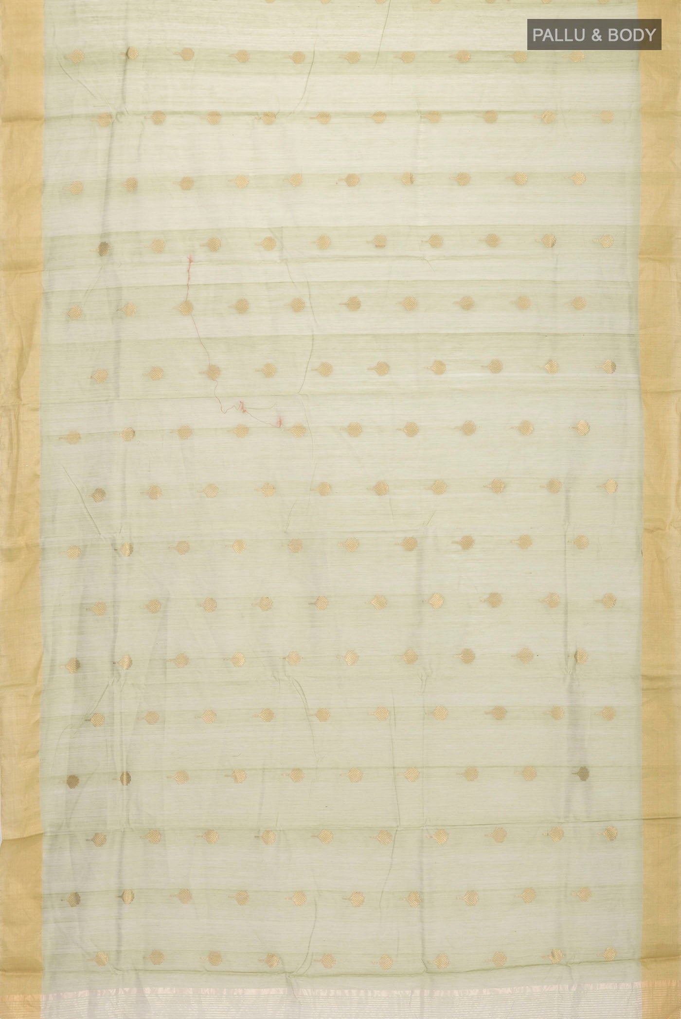 pallu body