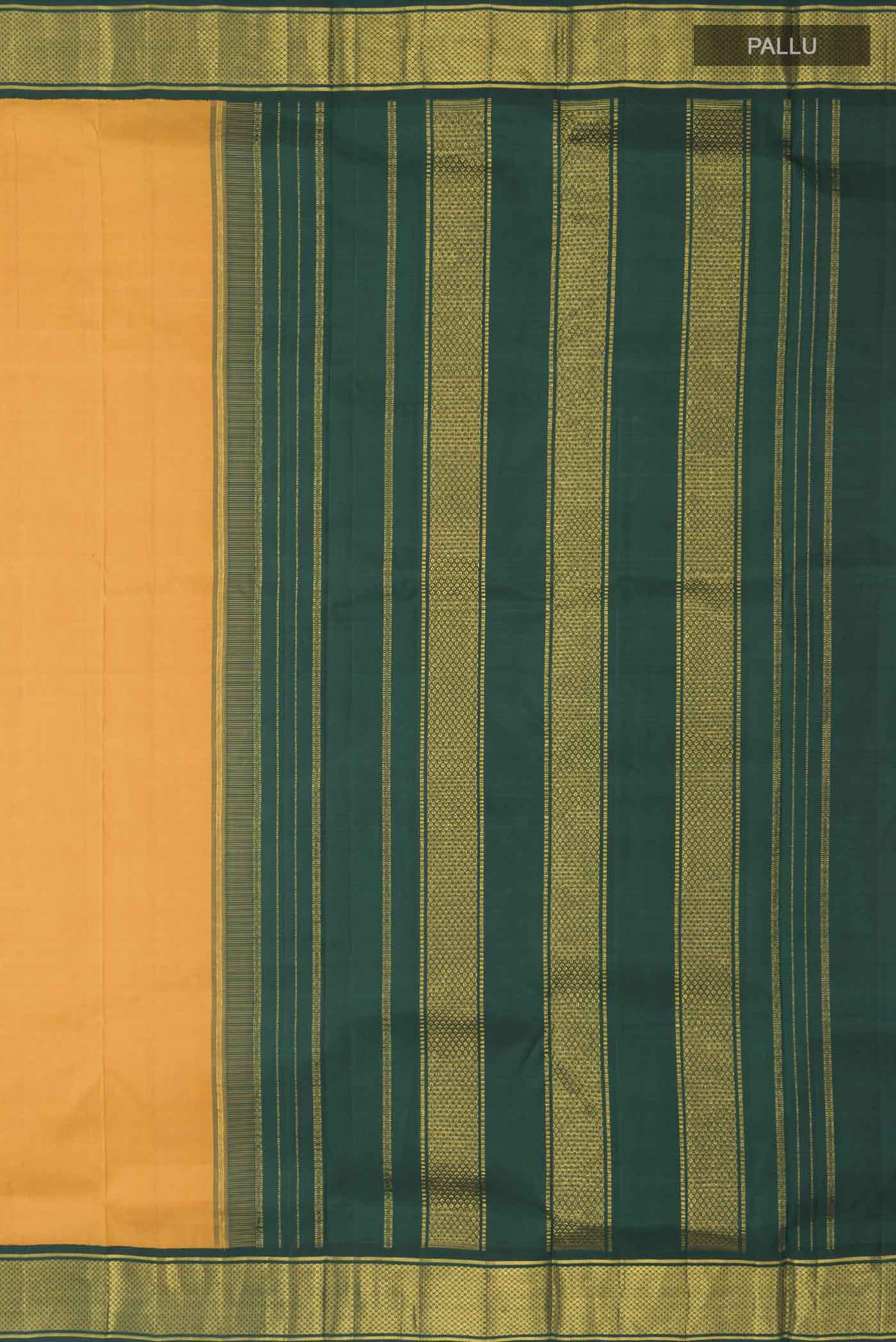 pallu_closeup