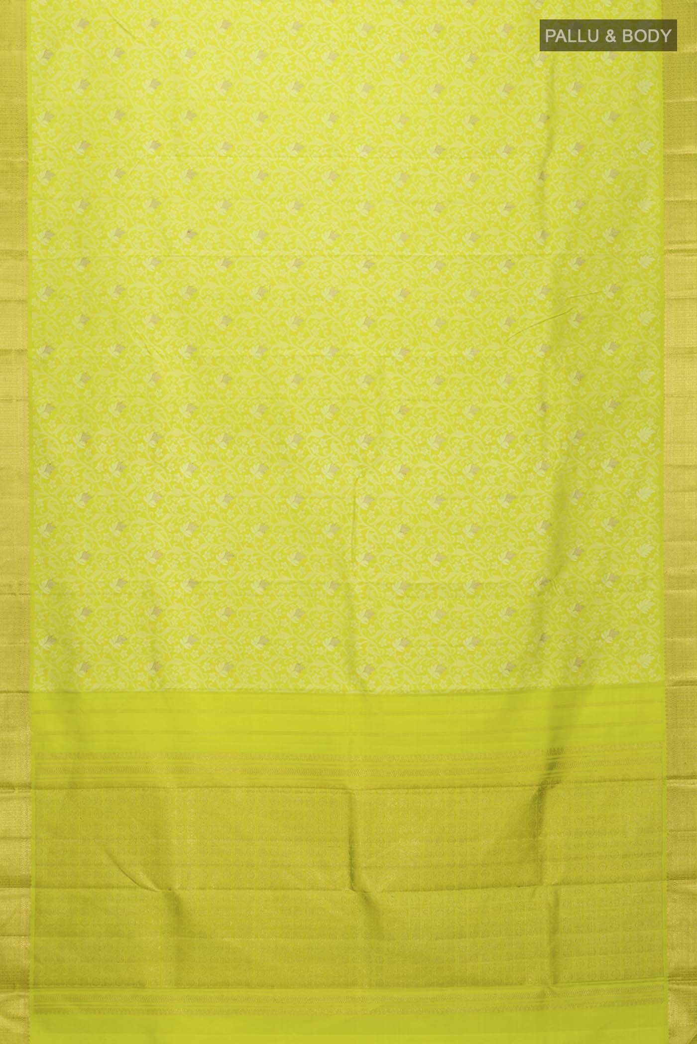 pallu body