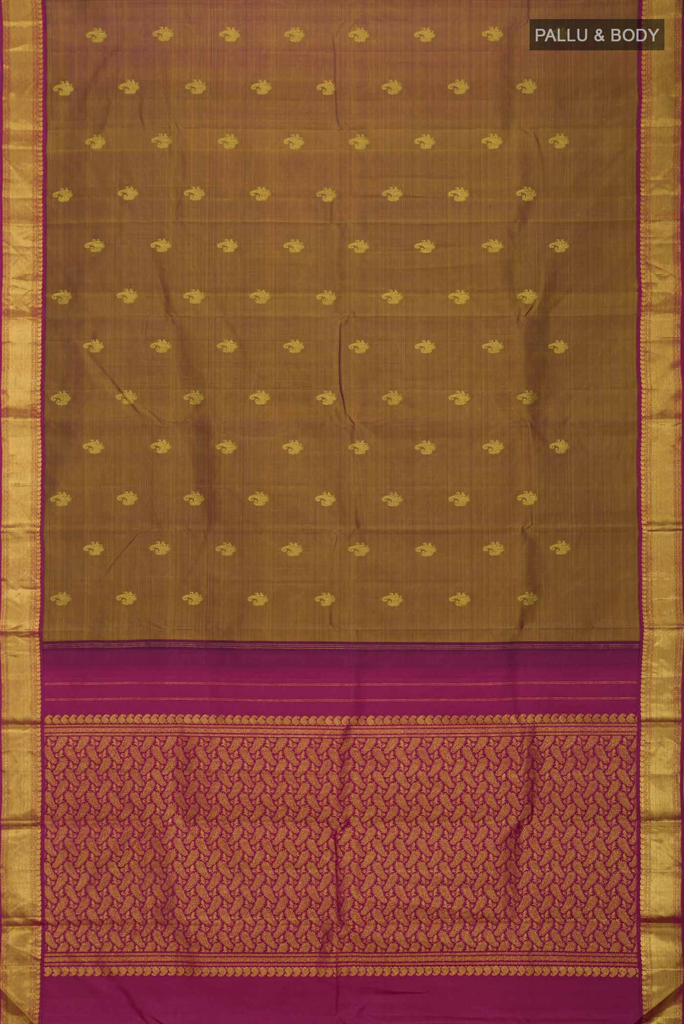 pallu body