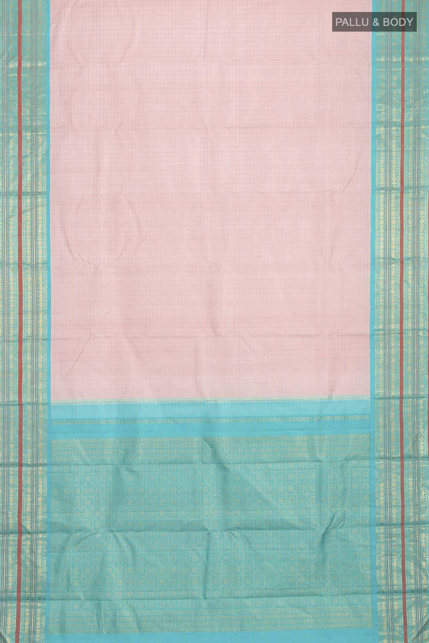 pallu body