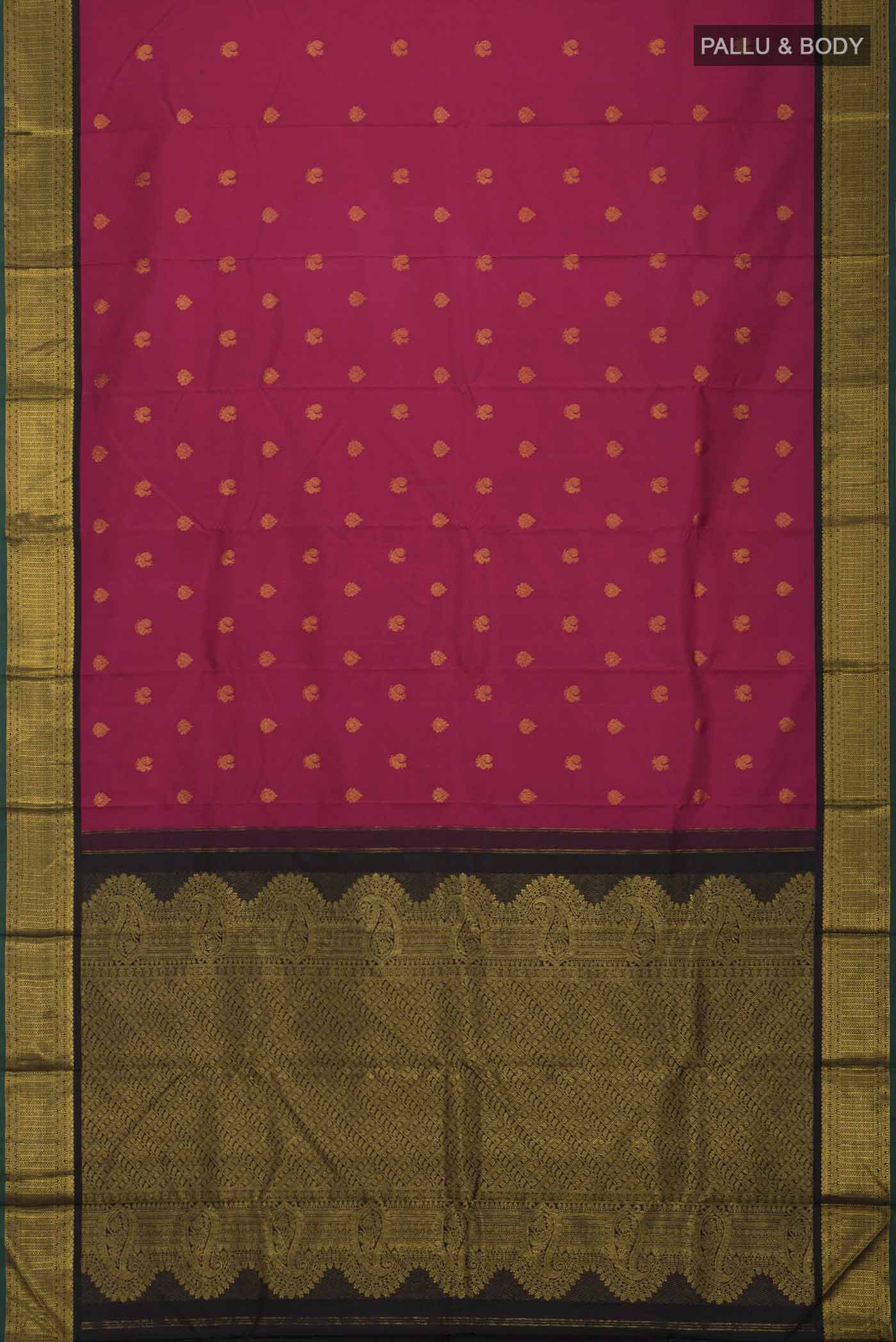pallu body