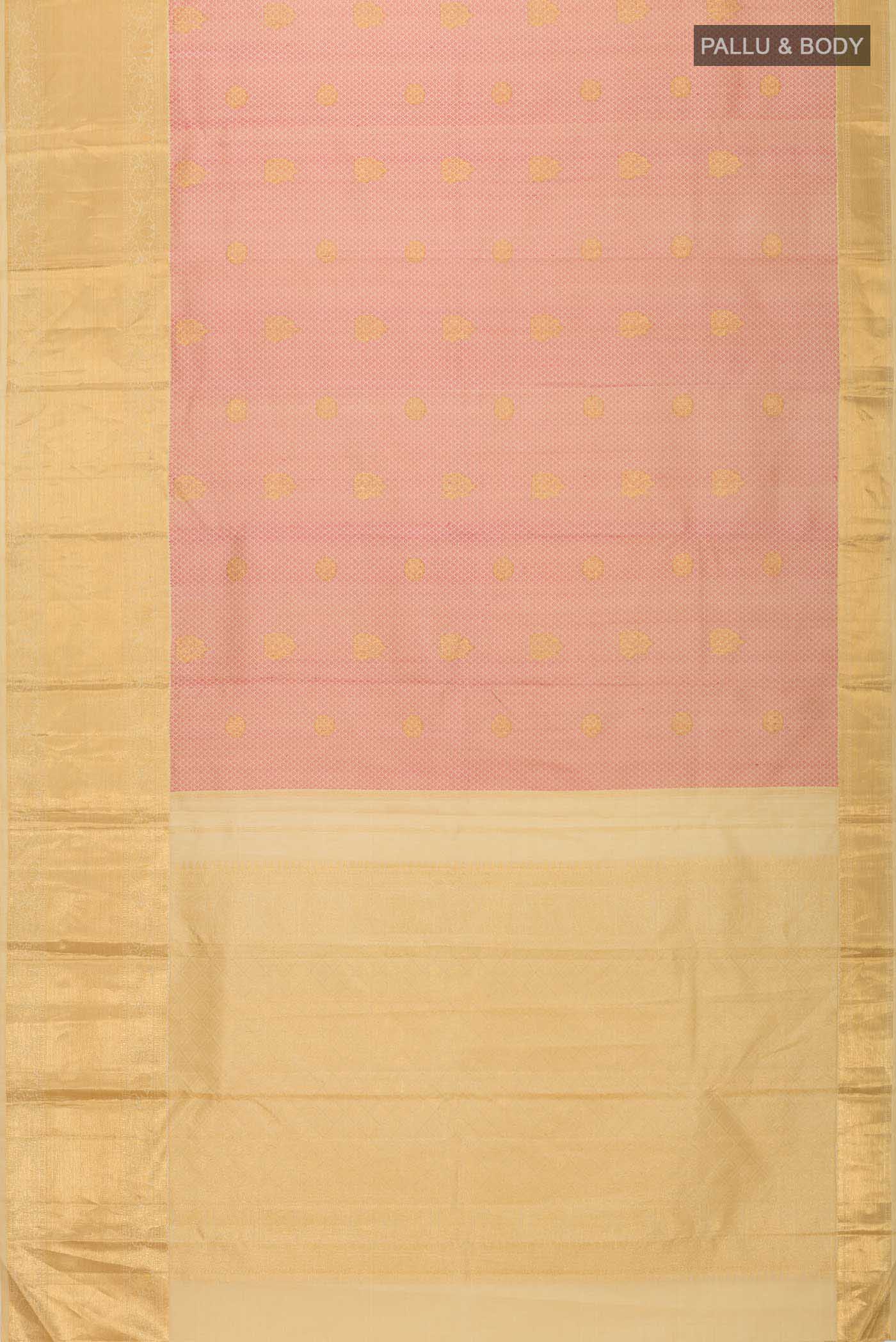 pallu body