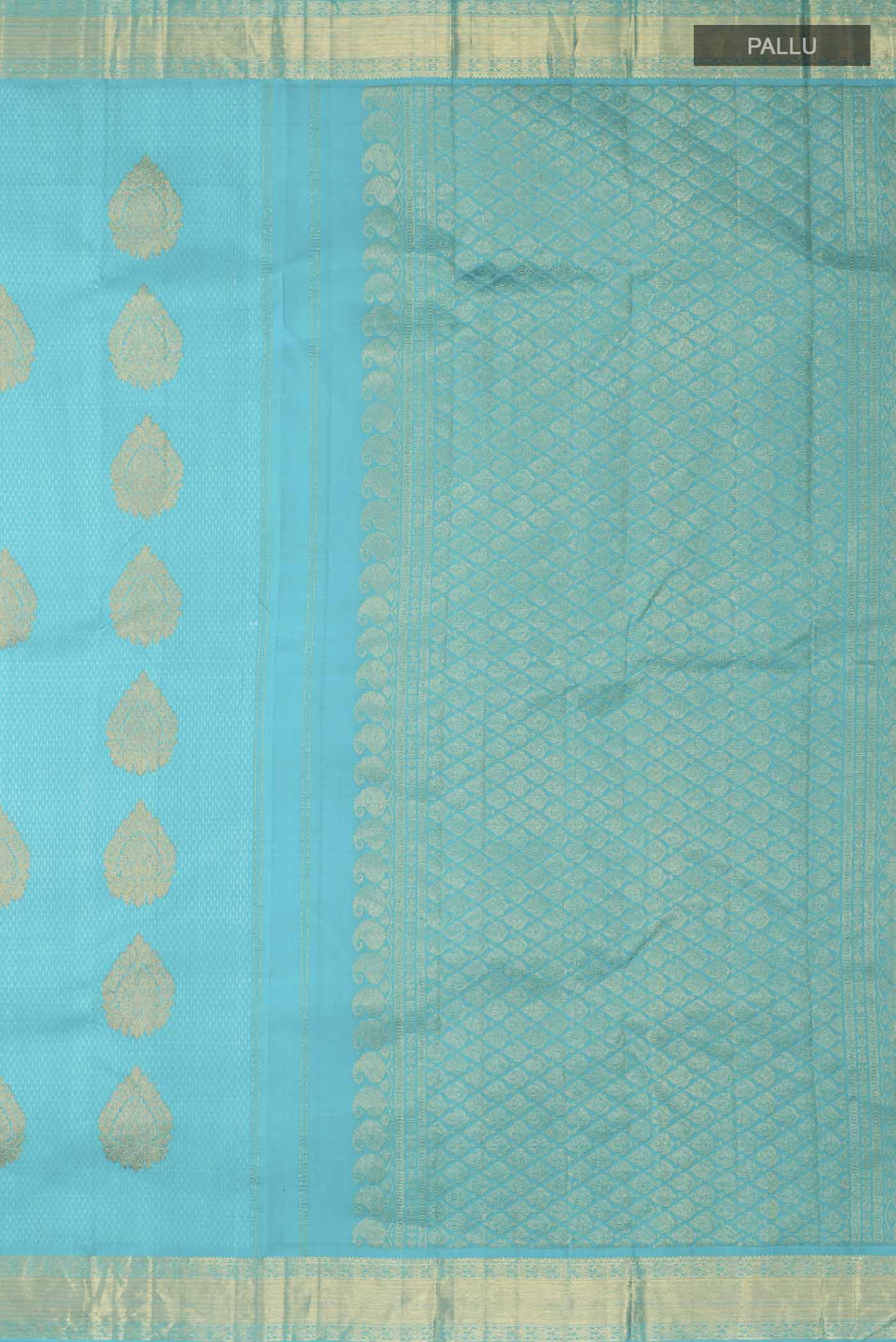 pallu_closeup