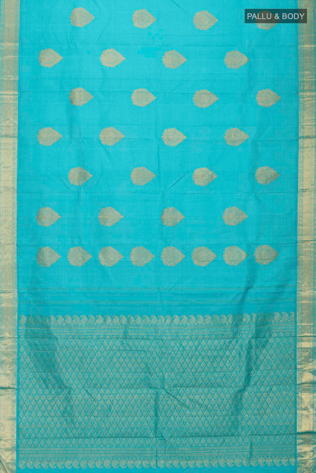 pallu body