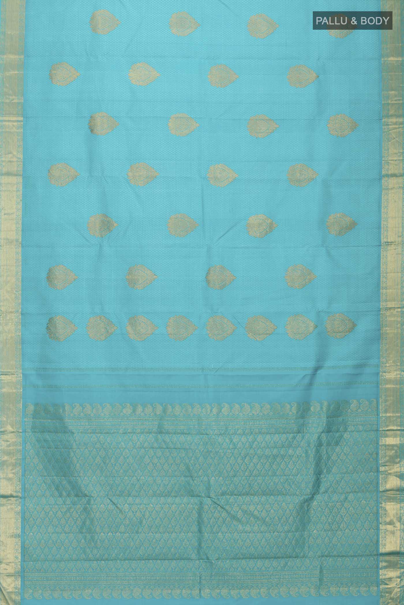 pallu body