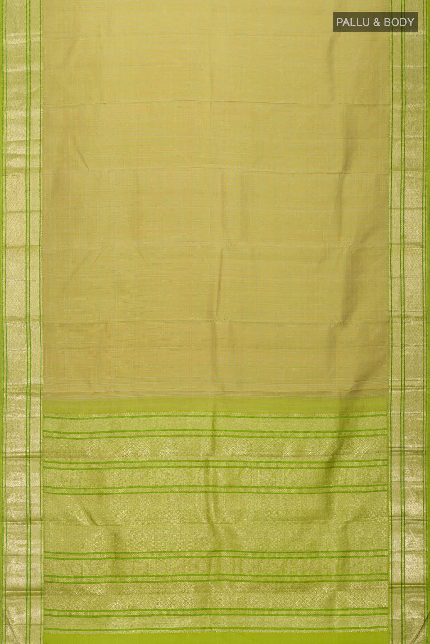 pallu body