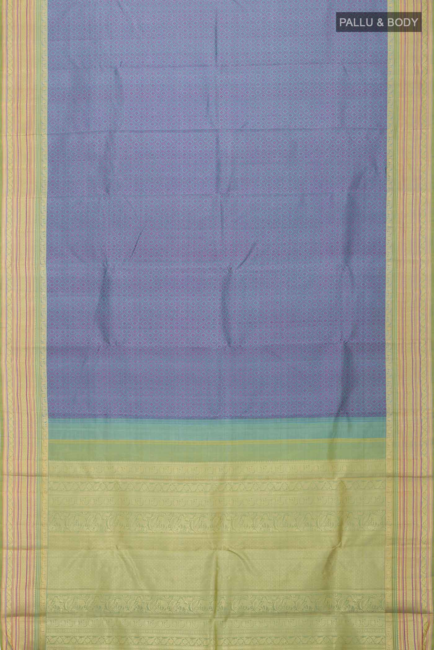 pallu body
