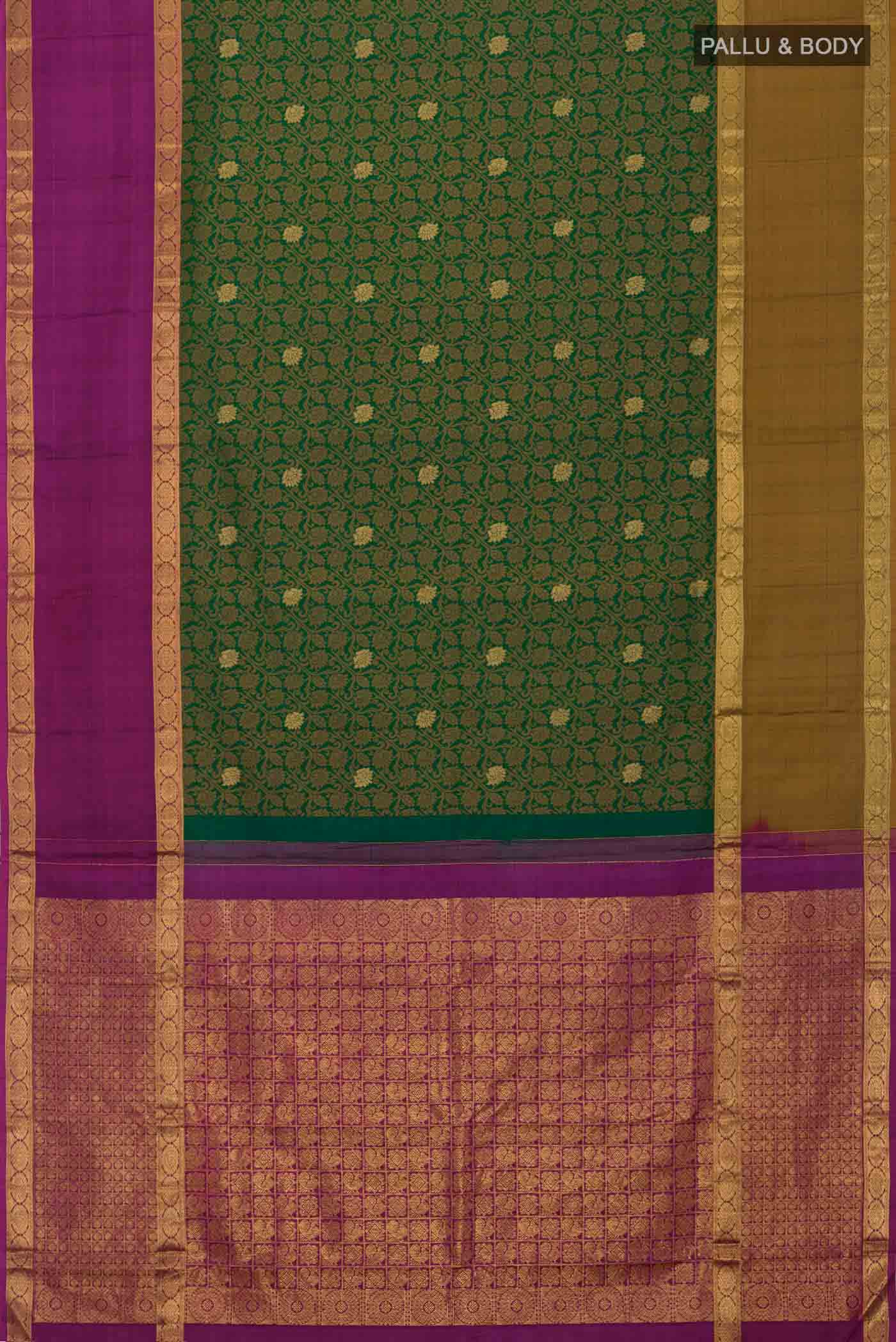 pallu body