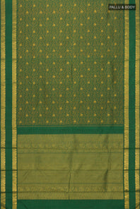 pallu body