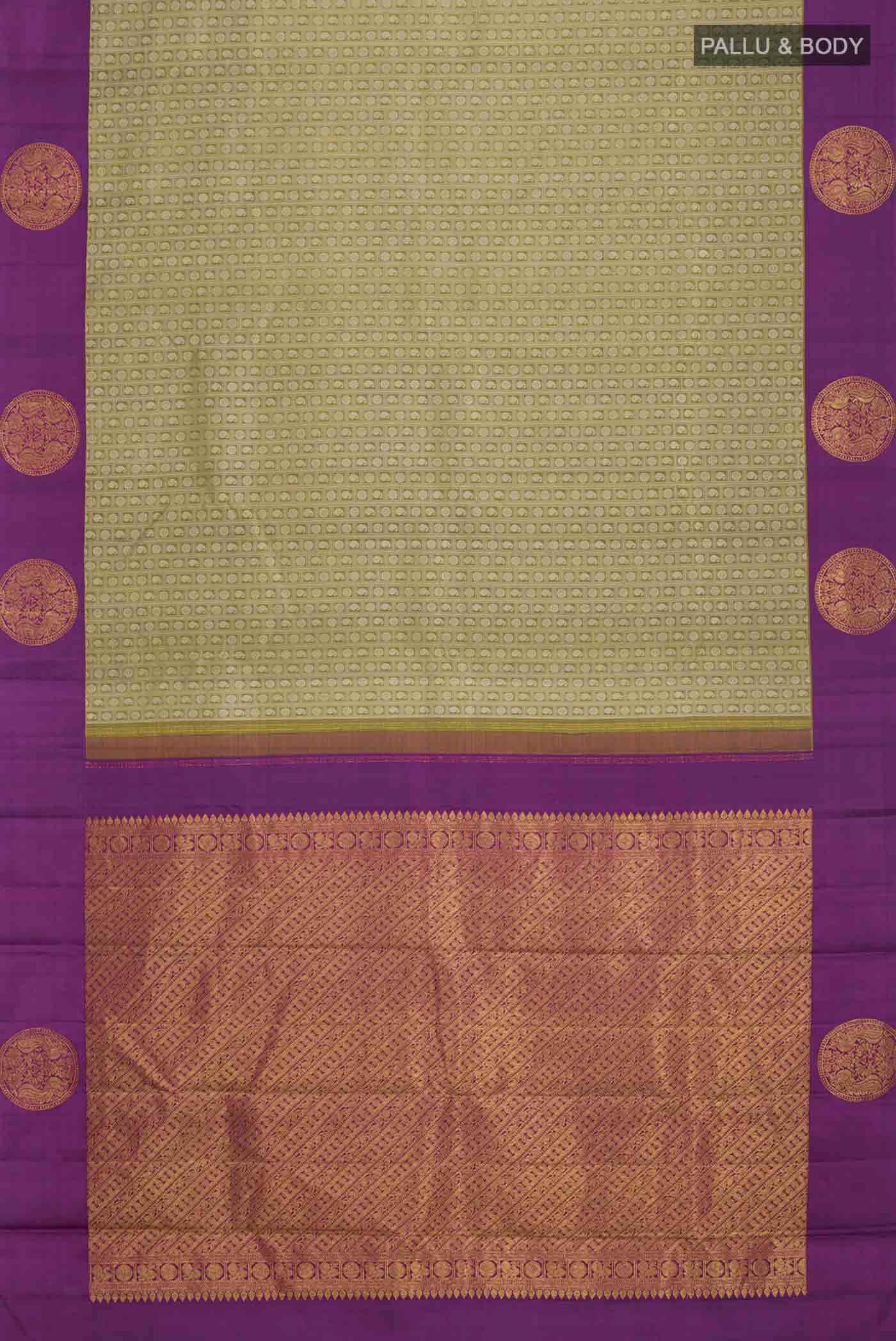 pallu body
