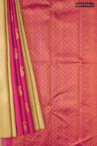 pleats pallu