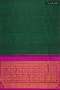 pallu body