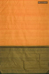 pallu body