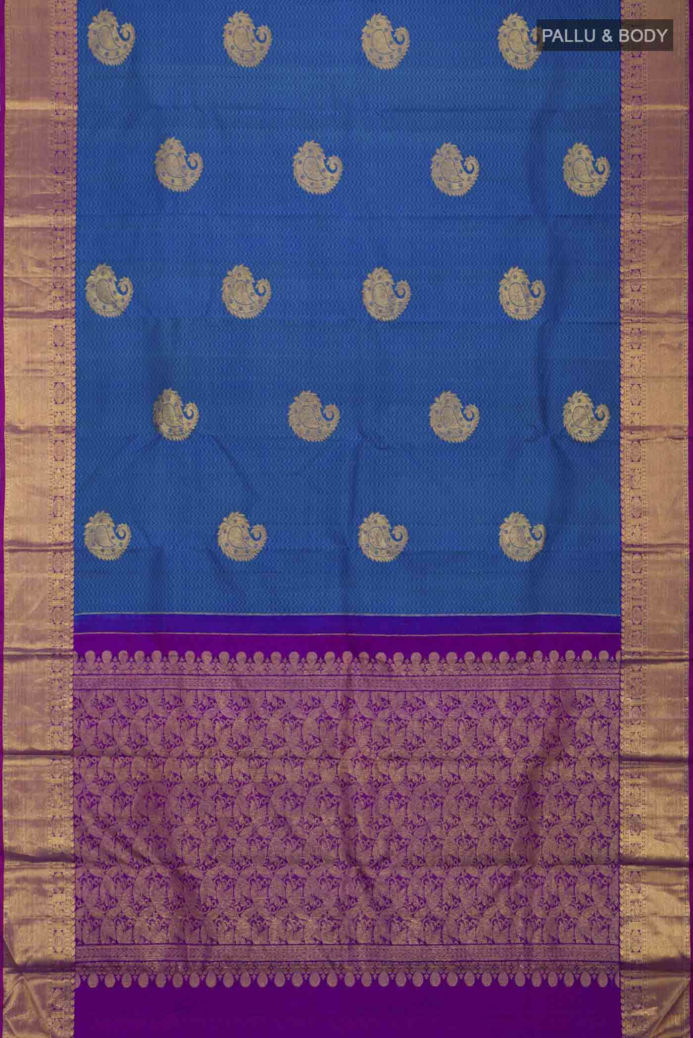 pallu body