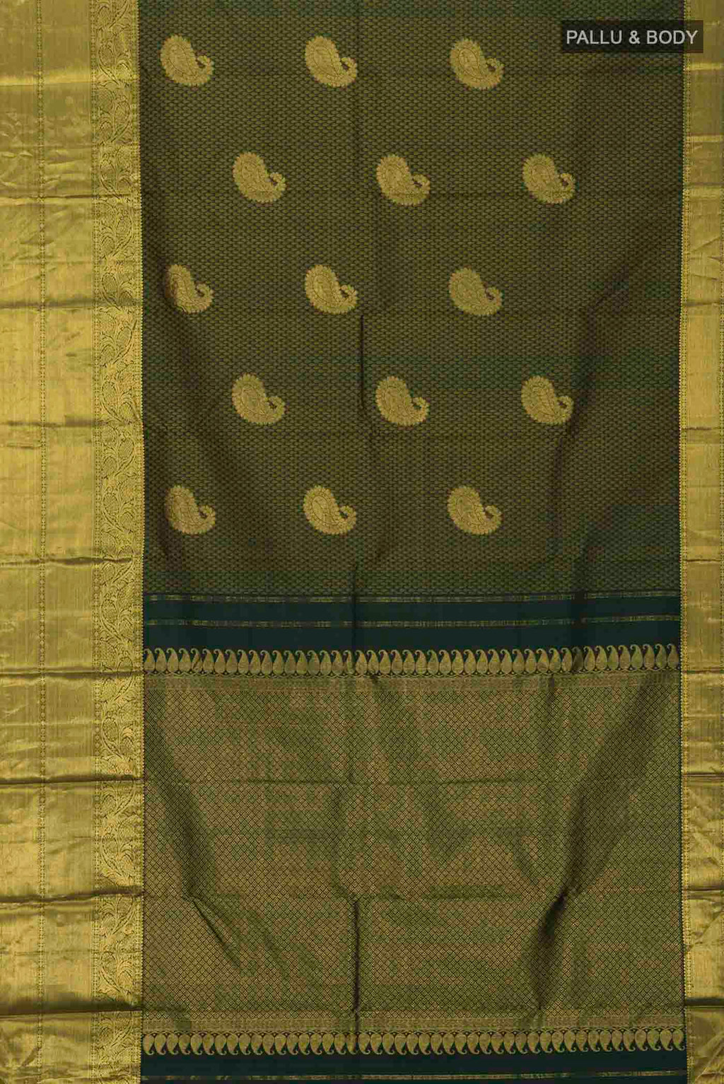 pallu body