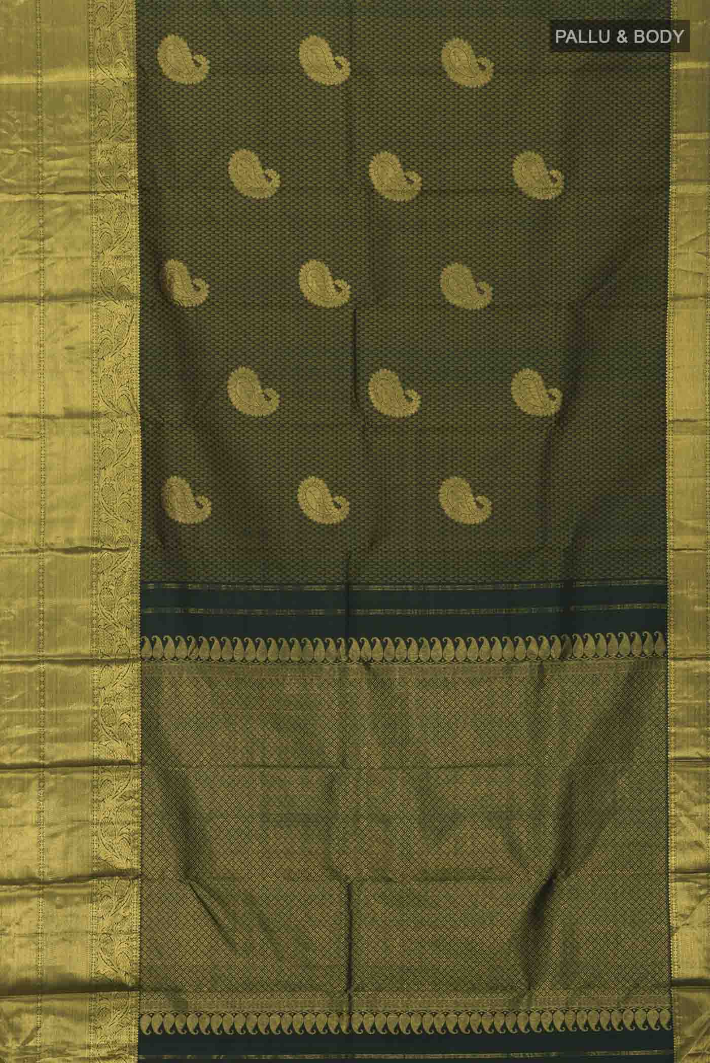 pallu body