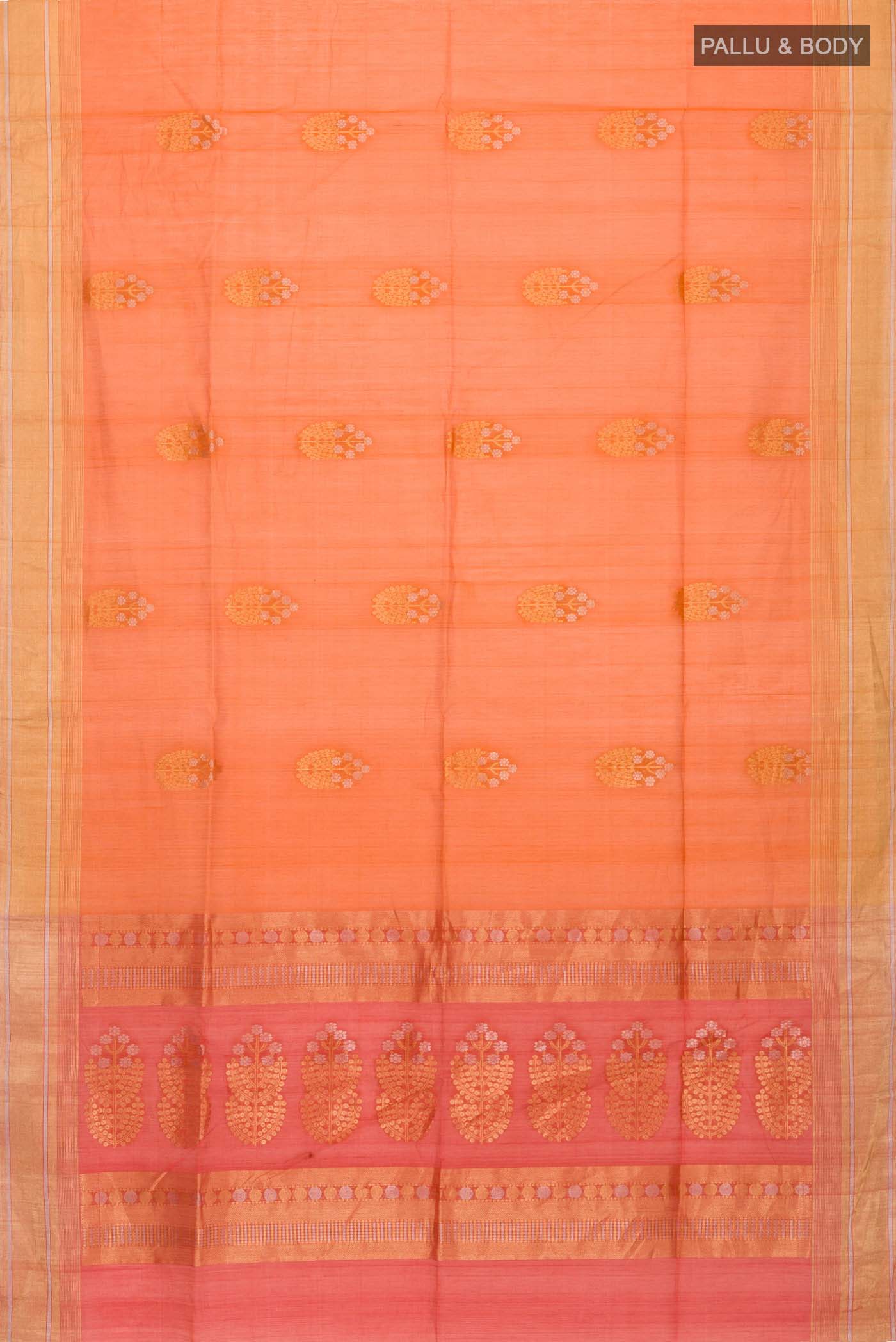 pallu body