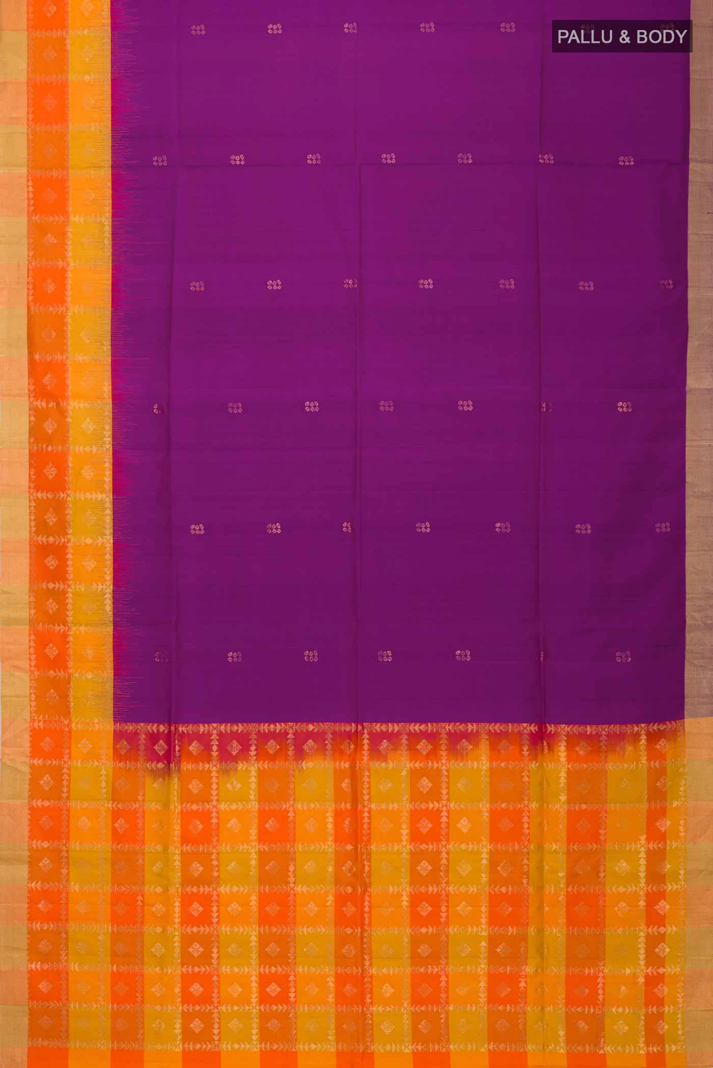 pallu body