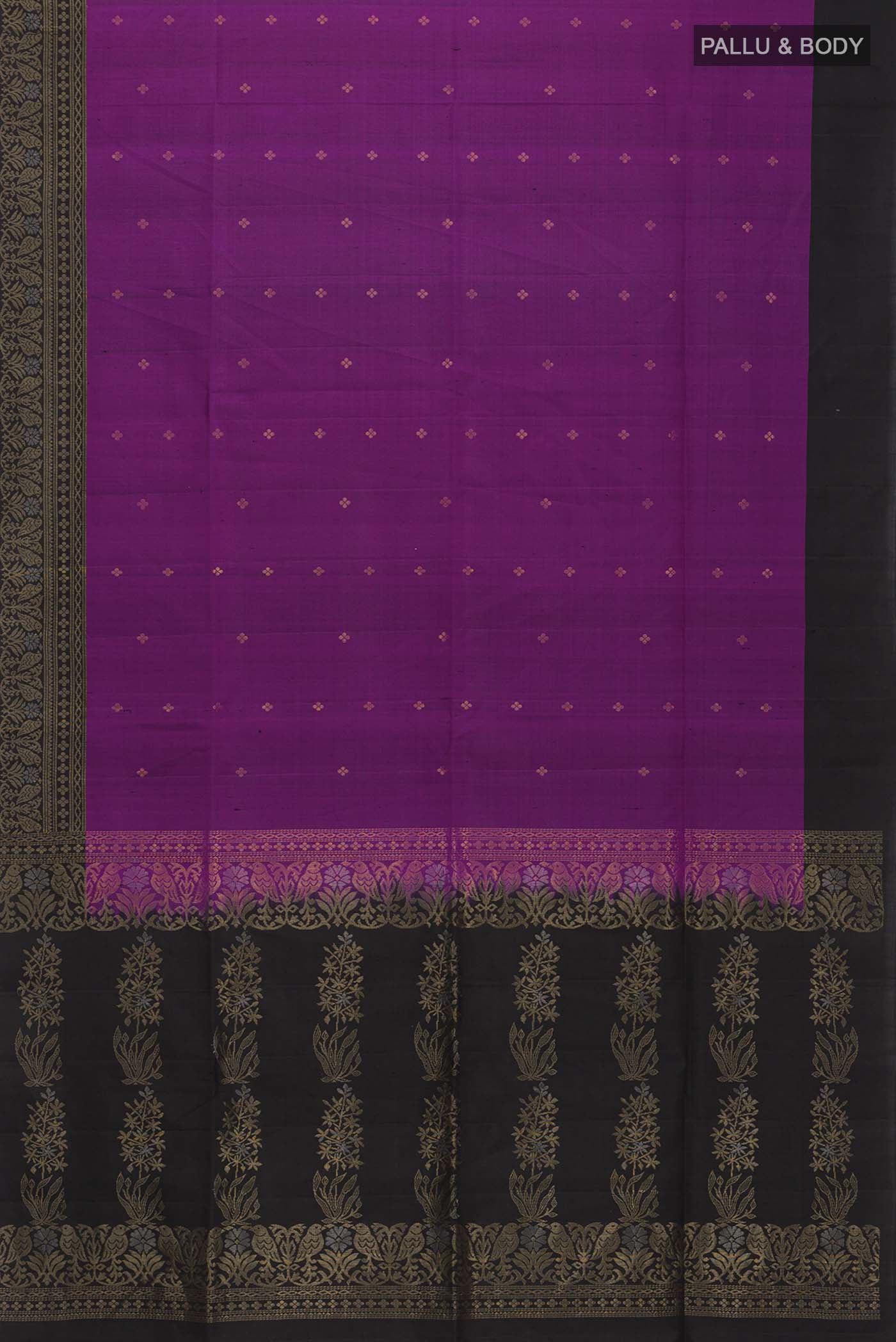 pallu body