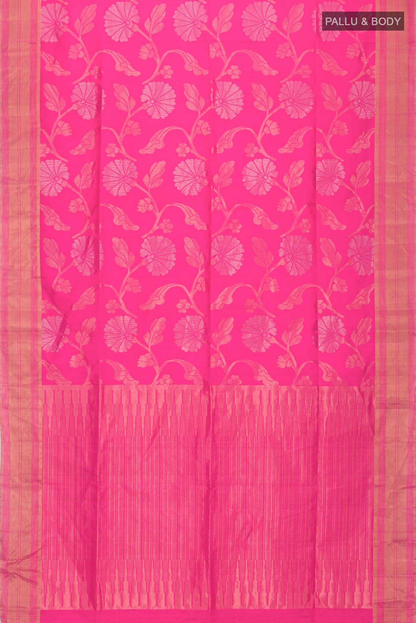 pallu body