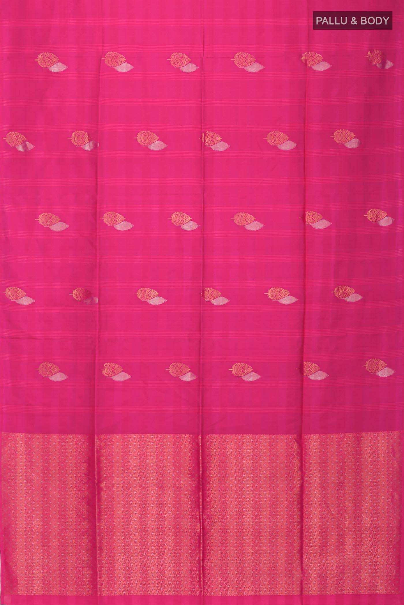 pallu body