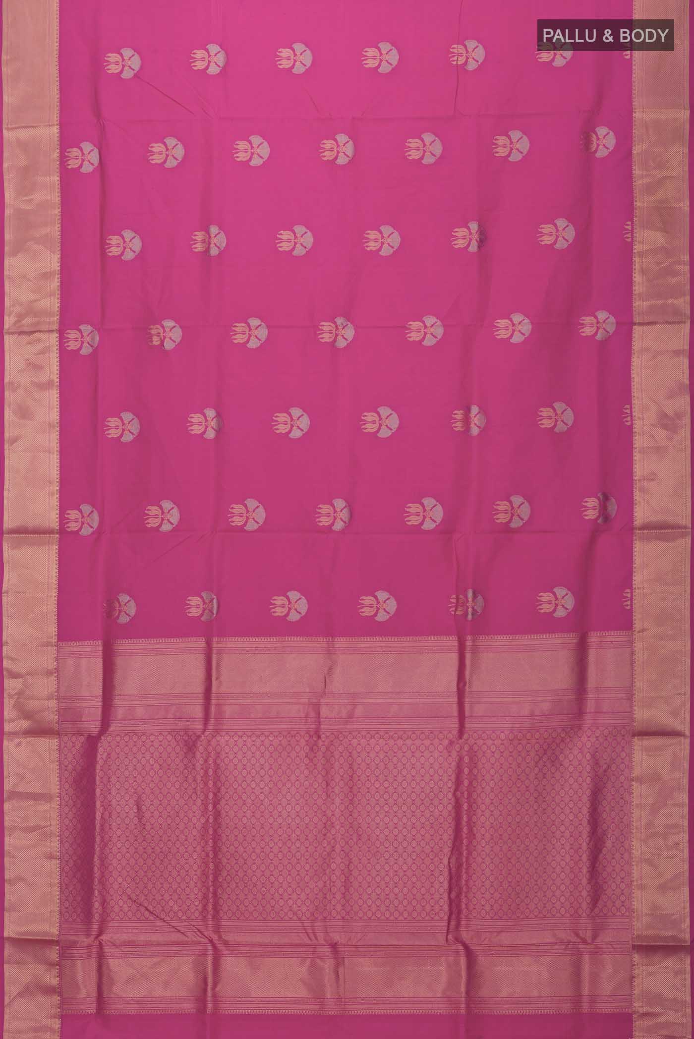 pallu body