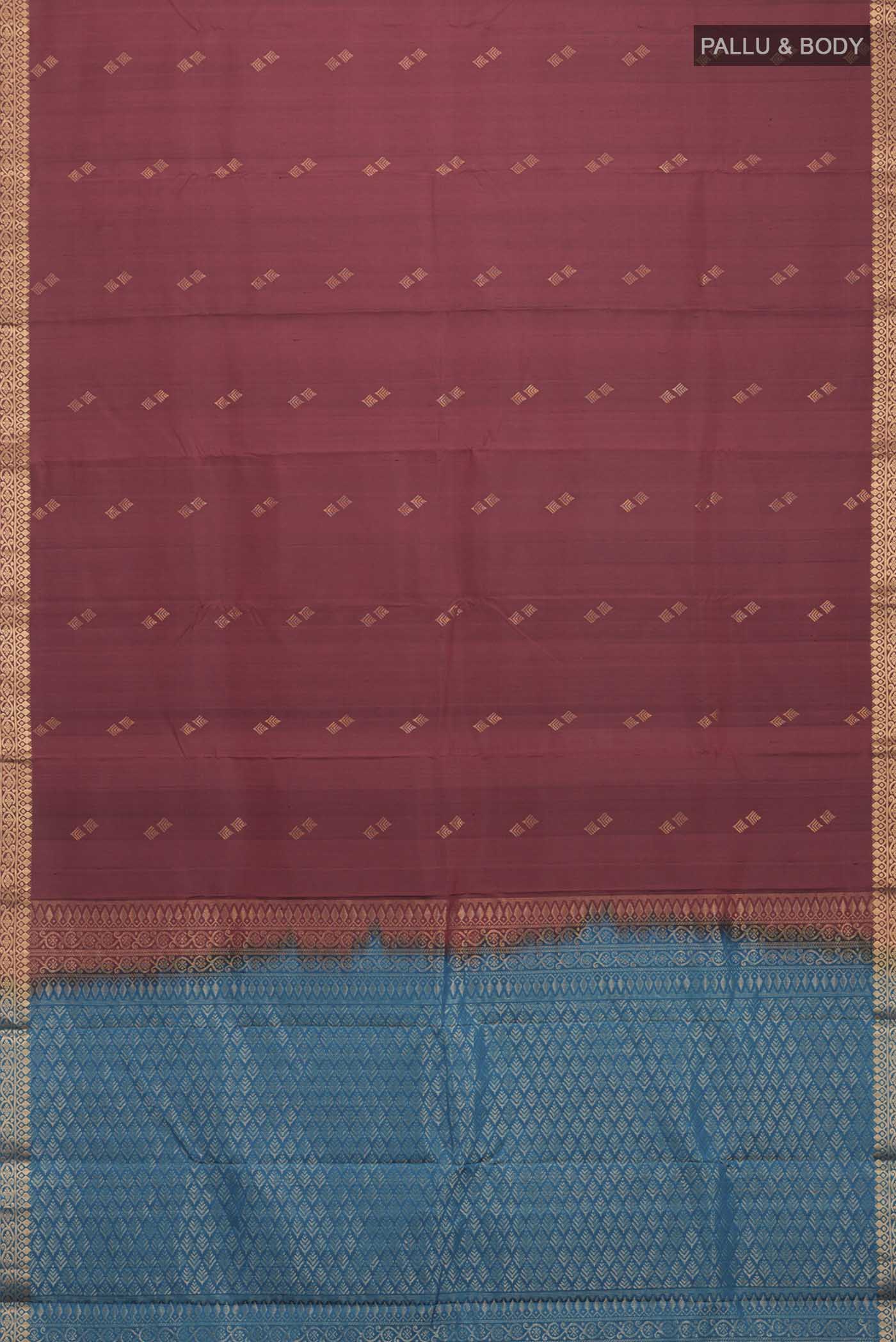 pallu body