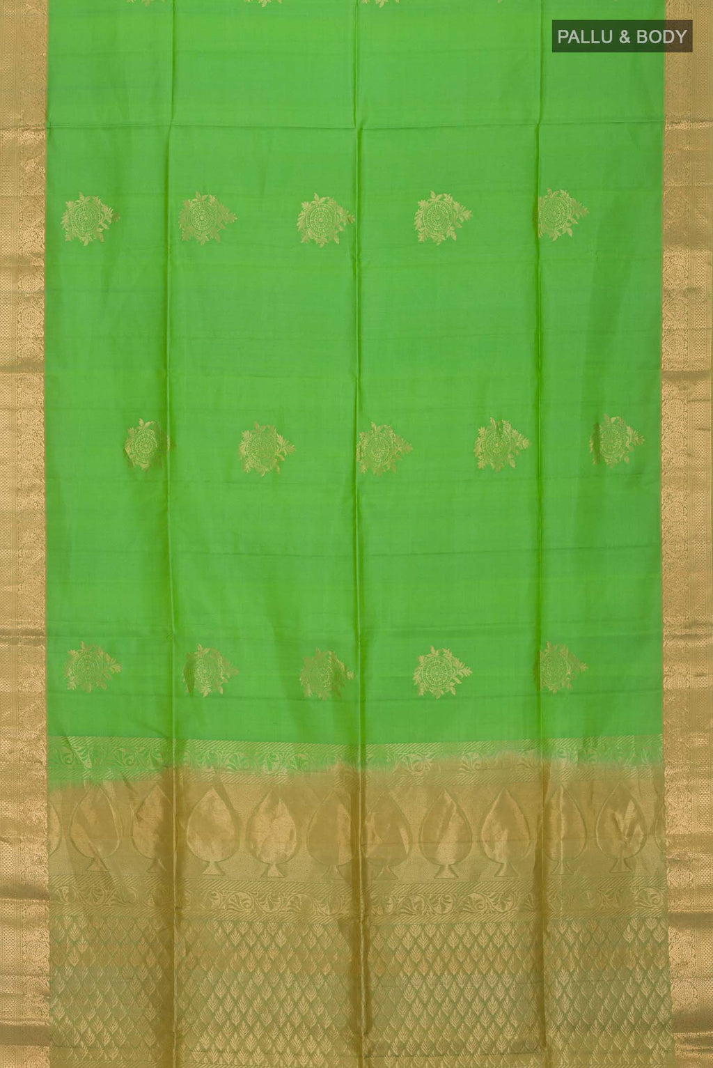 pallu body