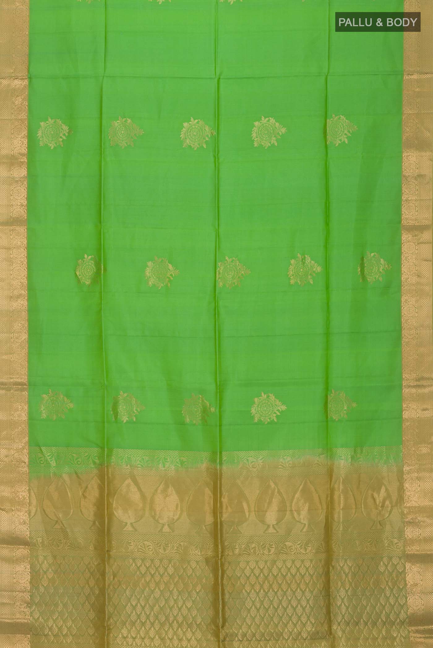 pallu body