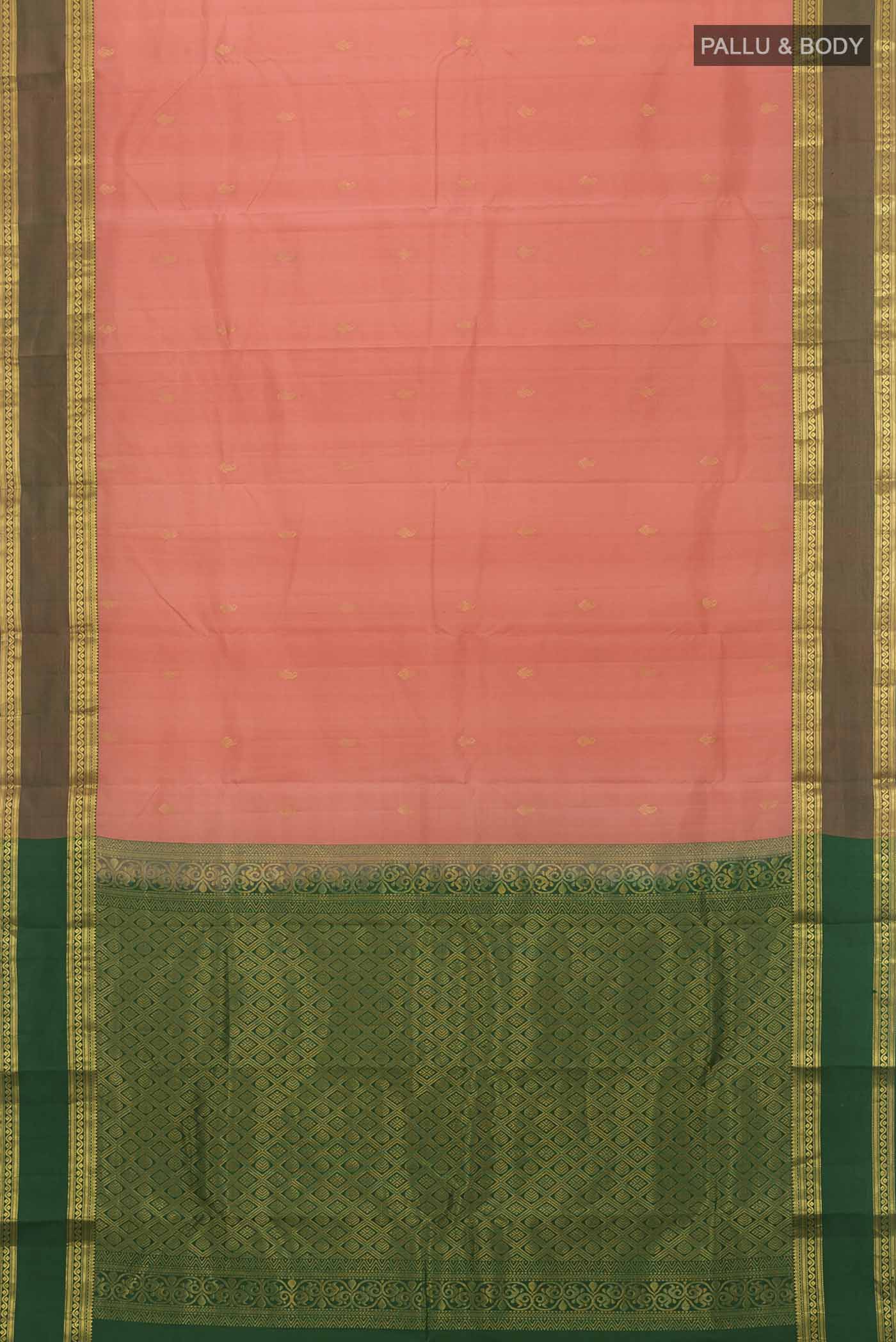 pallu body